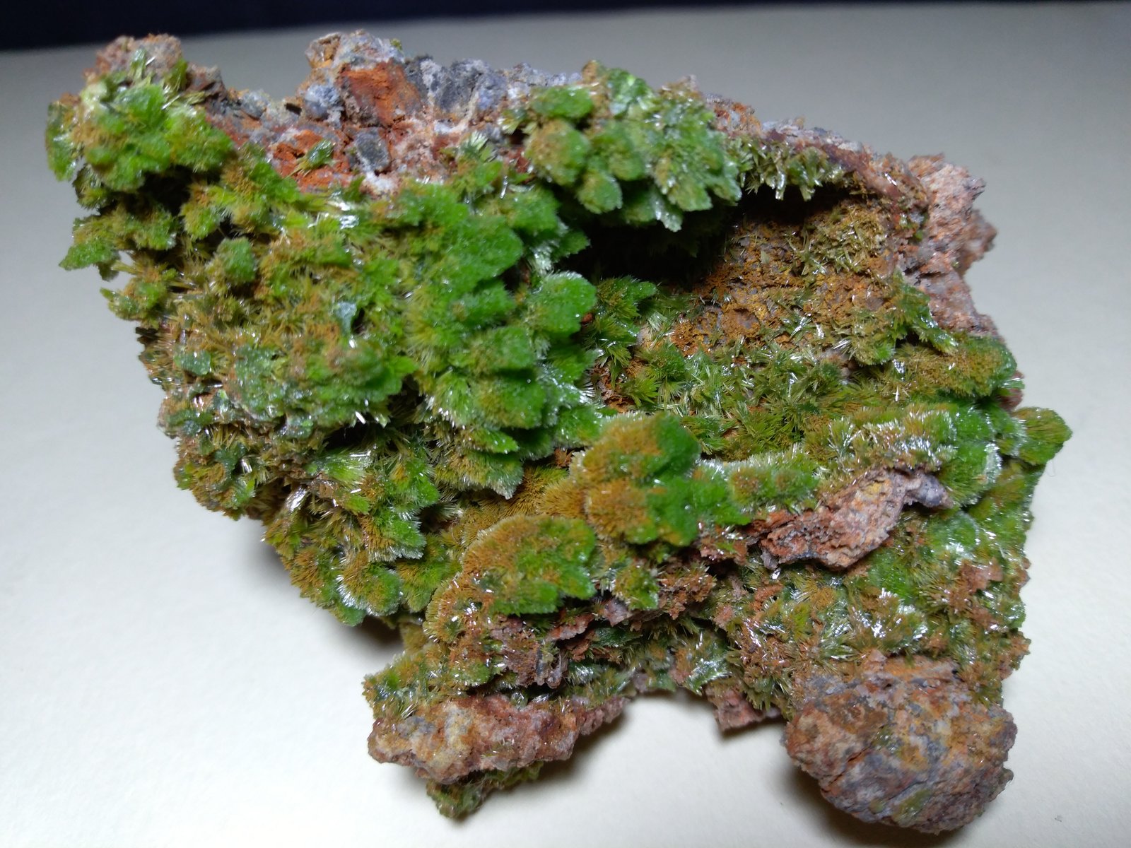 Pyromorphite
80 x 67 mm
(Autor: Sante Celiberti)