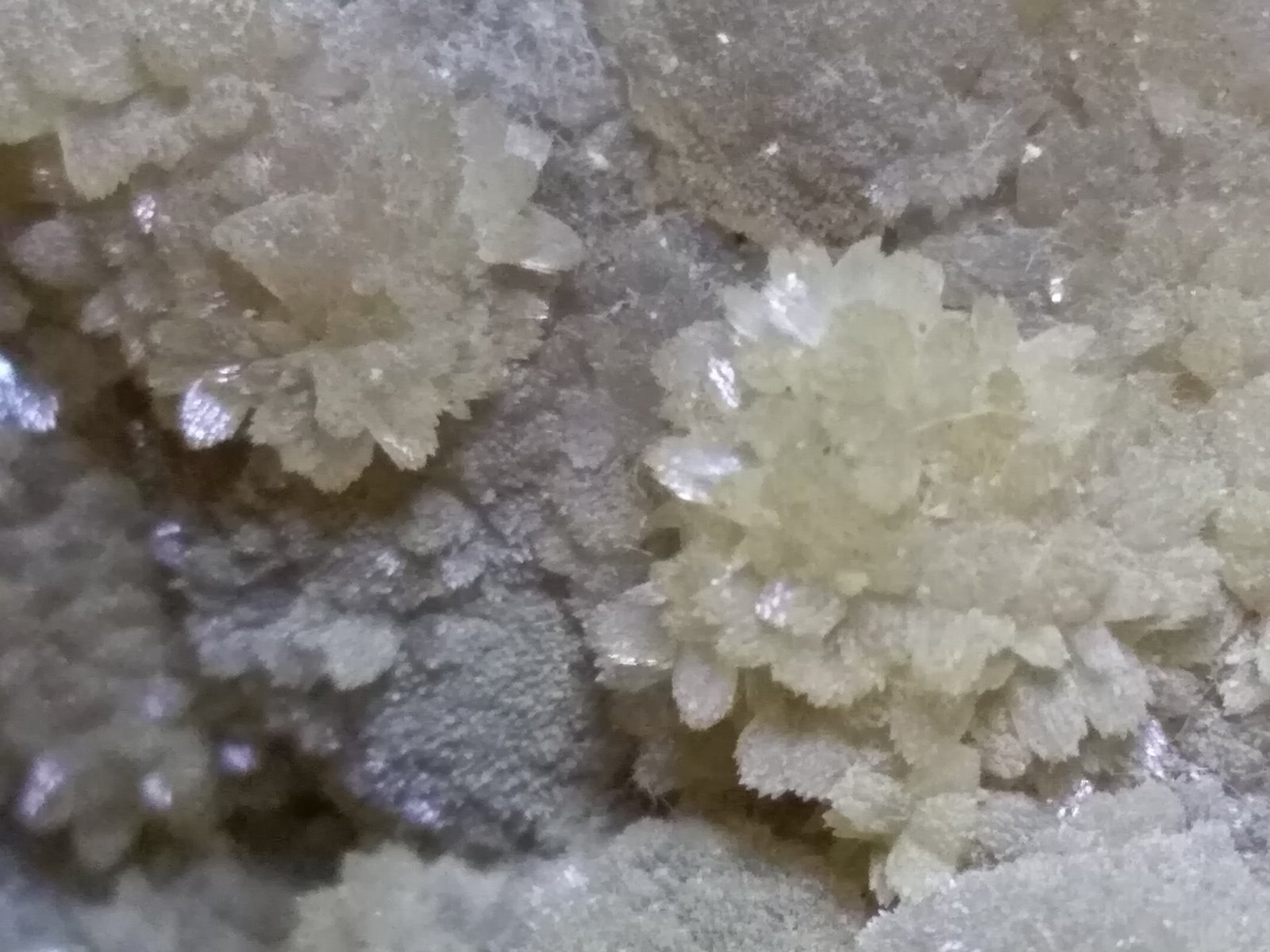 Baryte, Smithsonite (variety monheimite)
18 x 116,5 cm
(Autor: Sante Celiberti)