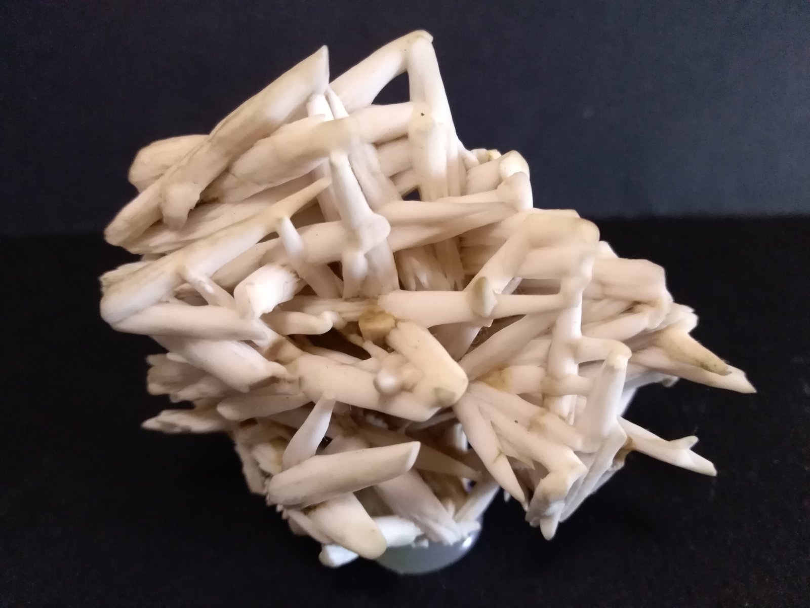 Calcite
66 x 58 mm
(Autor: Sante Celiberti)