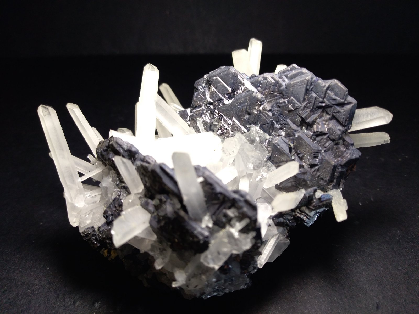 Galena, Quartz
82 x 68 mm
(Autor: Sante Celiberti)