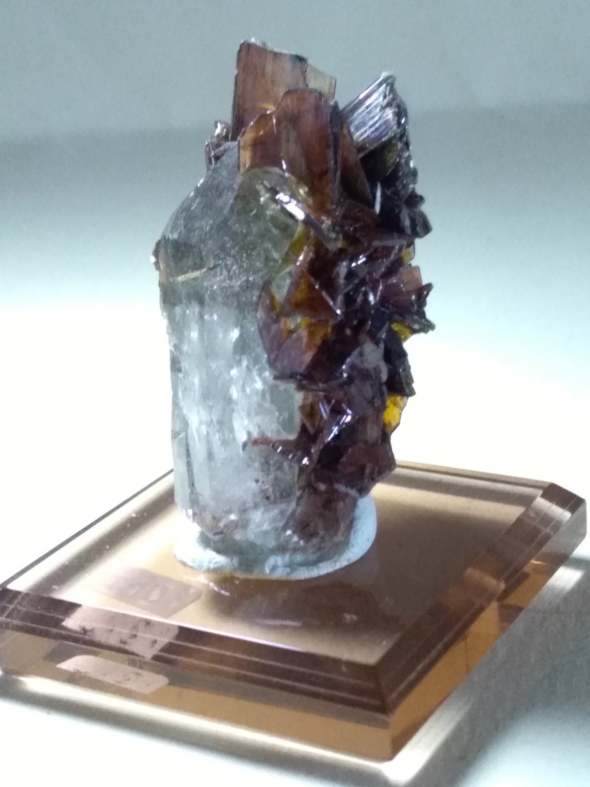 Brookite, Quartz
40 x 26 mm
(Autor: Sante Celiberti)