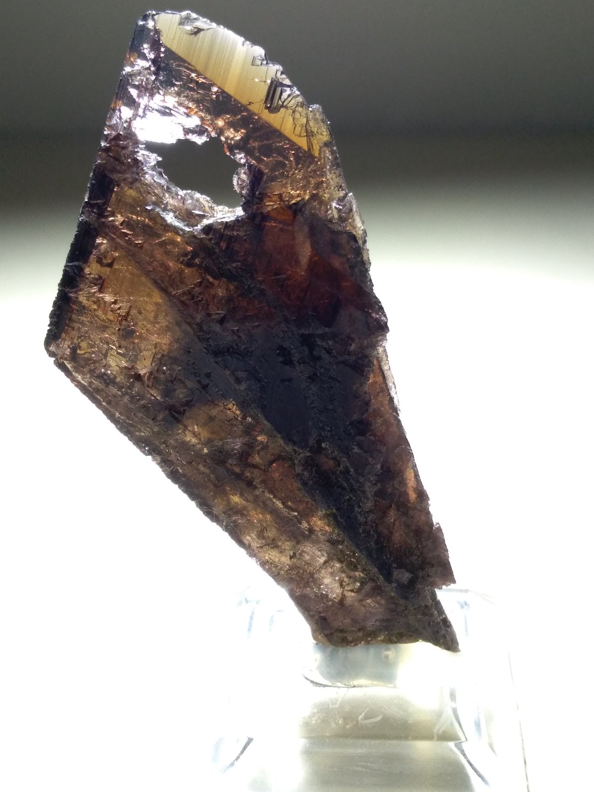 Axinite-(Fe)
64 x 30 mm
(Autor: Sante Celiberti)