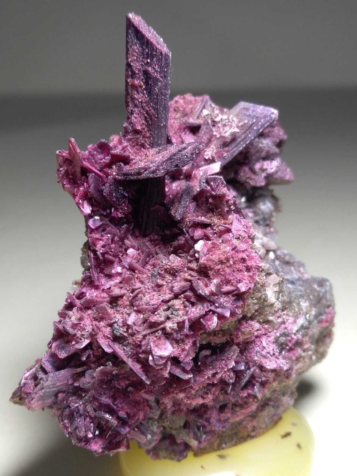 Erythrite
60 x 48 mm
(Autor: Sante Celiberti)