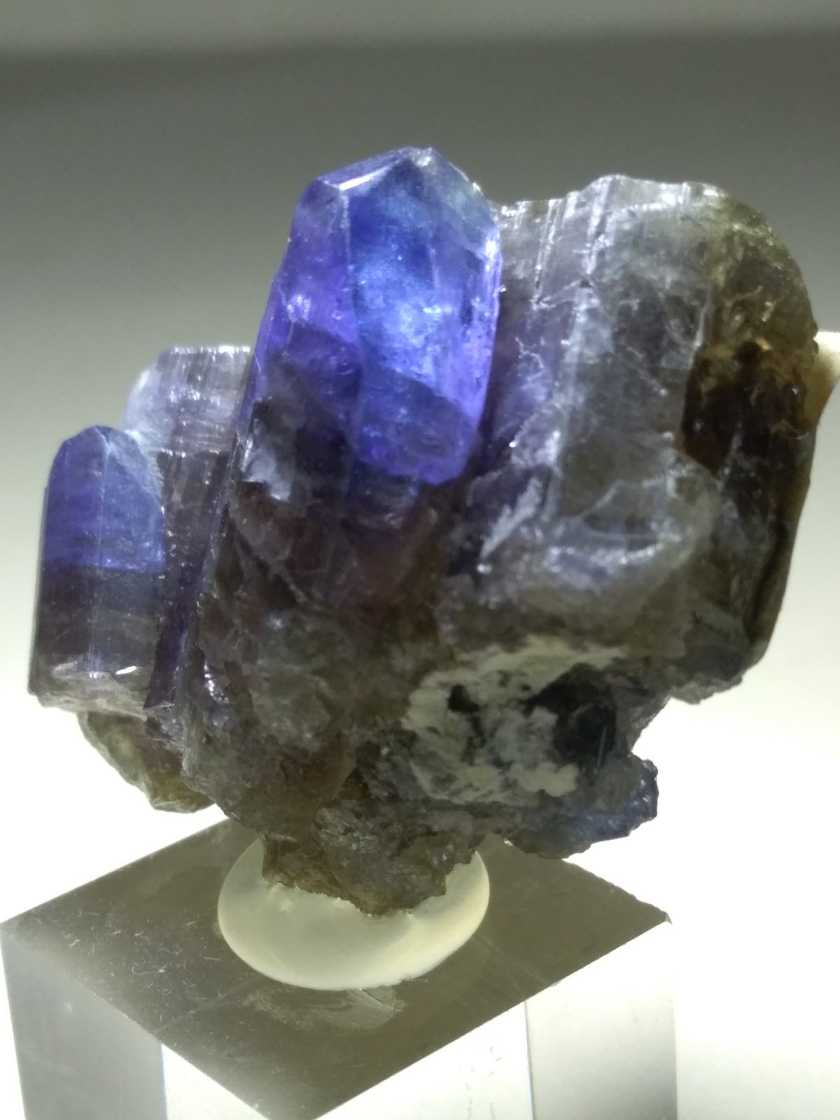Zoisite (variety tanzanite)
37 x 29 mm
(Autor: Sante Celiberti)