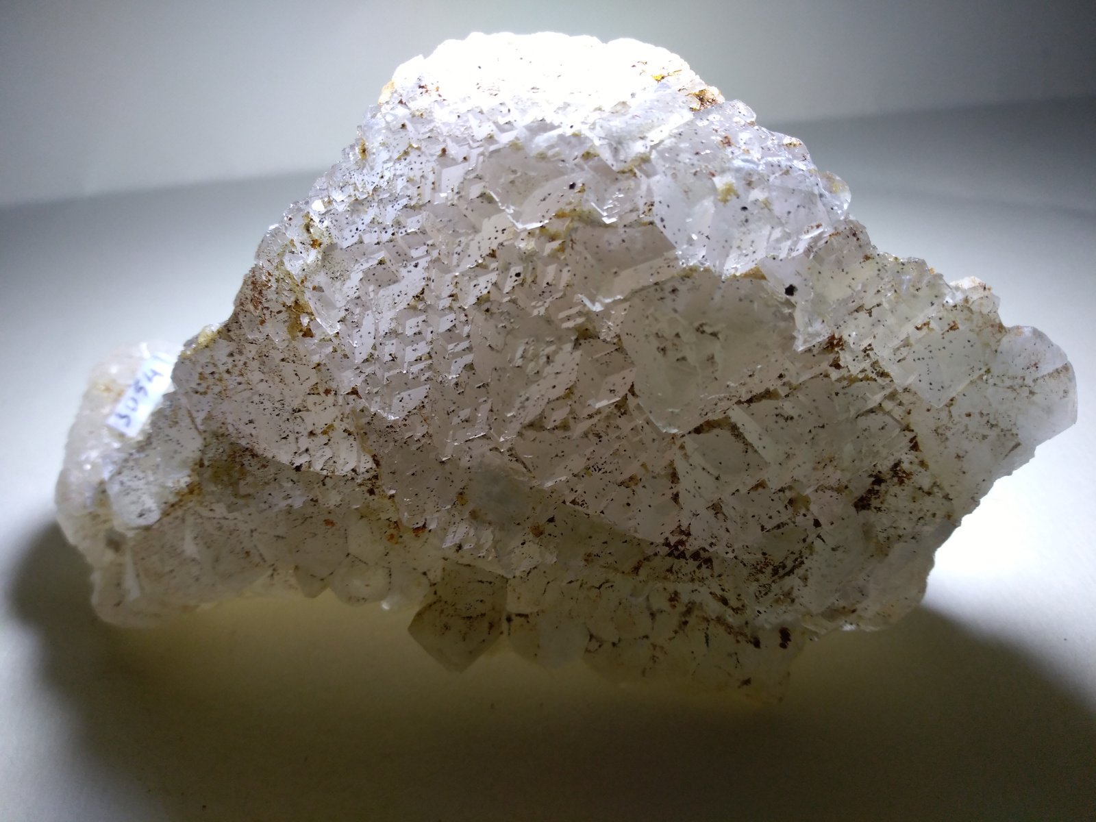 Fluorite, Quartz
11,5 x 8,5 cm
(Autor: Sante Celiberti)