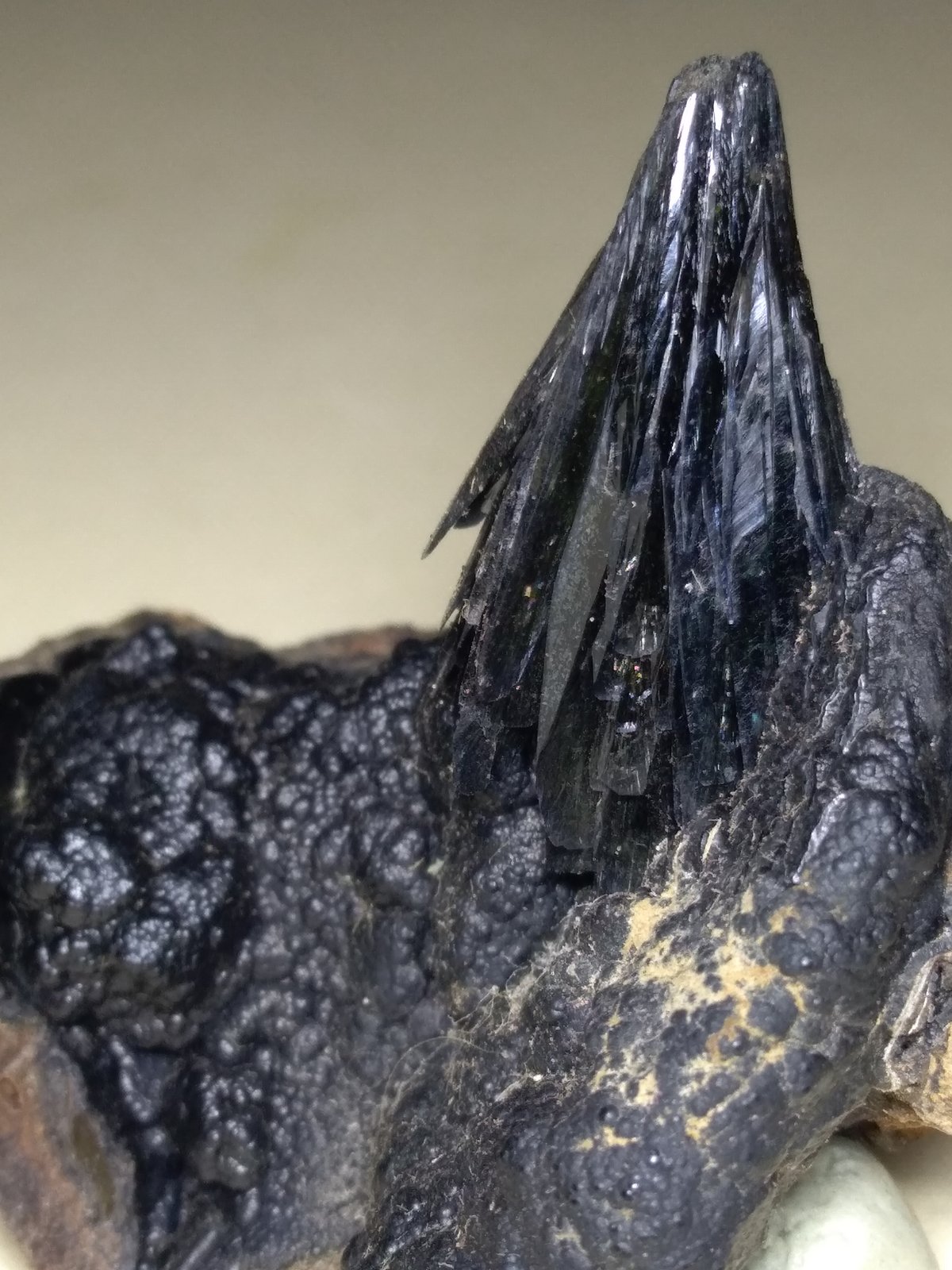 Vivianite
42 x 37 mm
(Autor: Sante Celiberti)