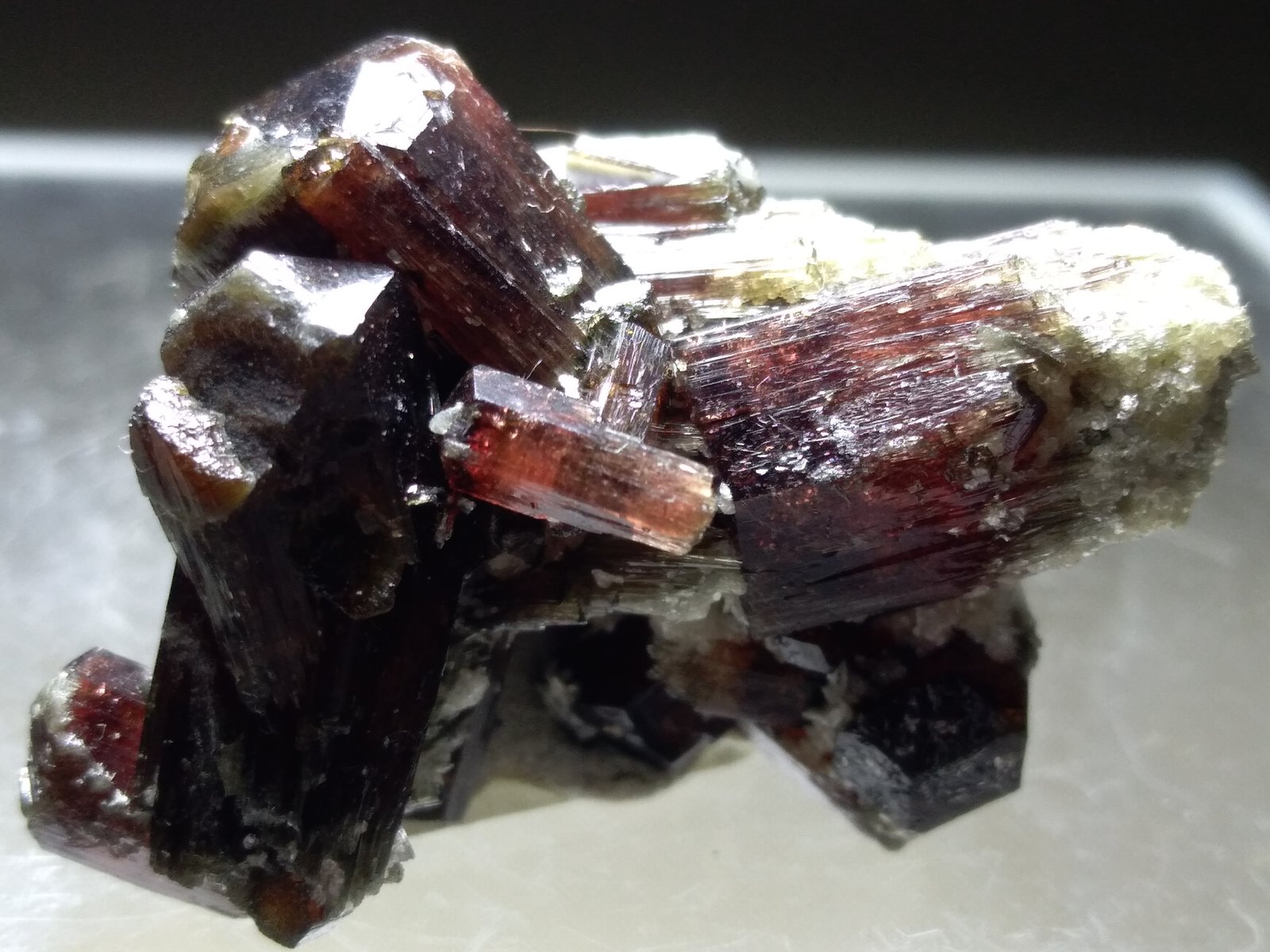 Uvite
30 x 18 mm
(Autor: Sante Celiberti)
