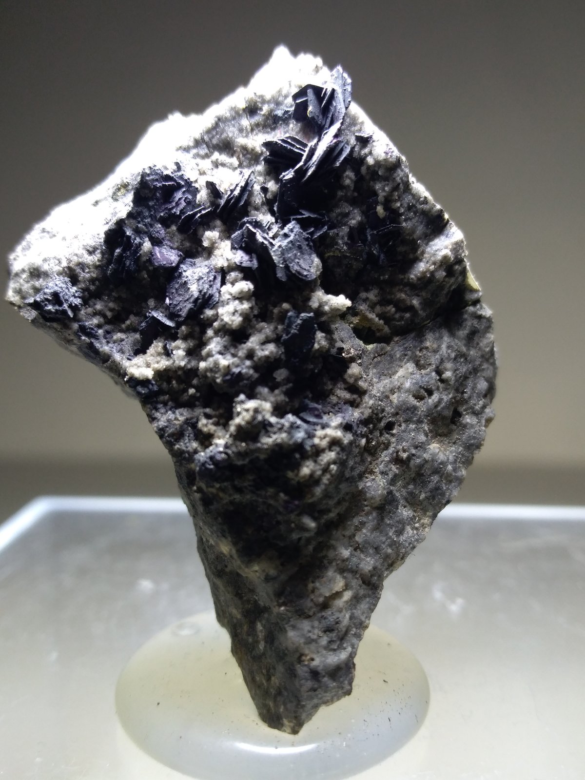 Covellite
44 x 34 mm
(Autor: Sante Celiberti)
