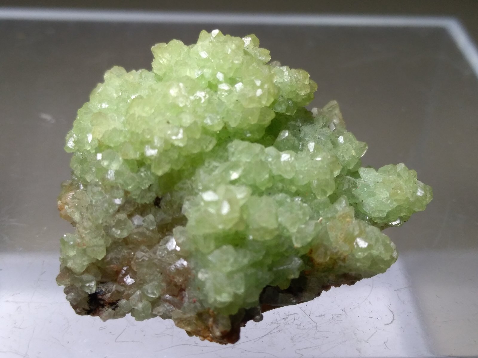 Smithsonite (variety cuprian)
31 x 27 mm
(Autor: Sante Celiberti)