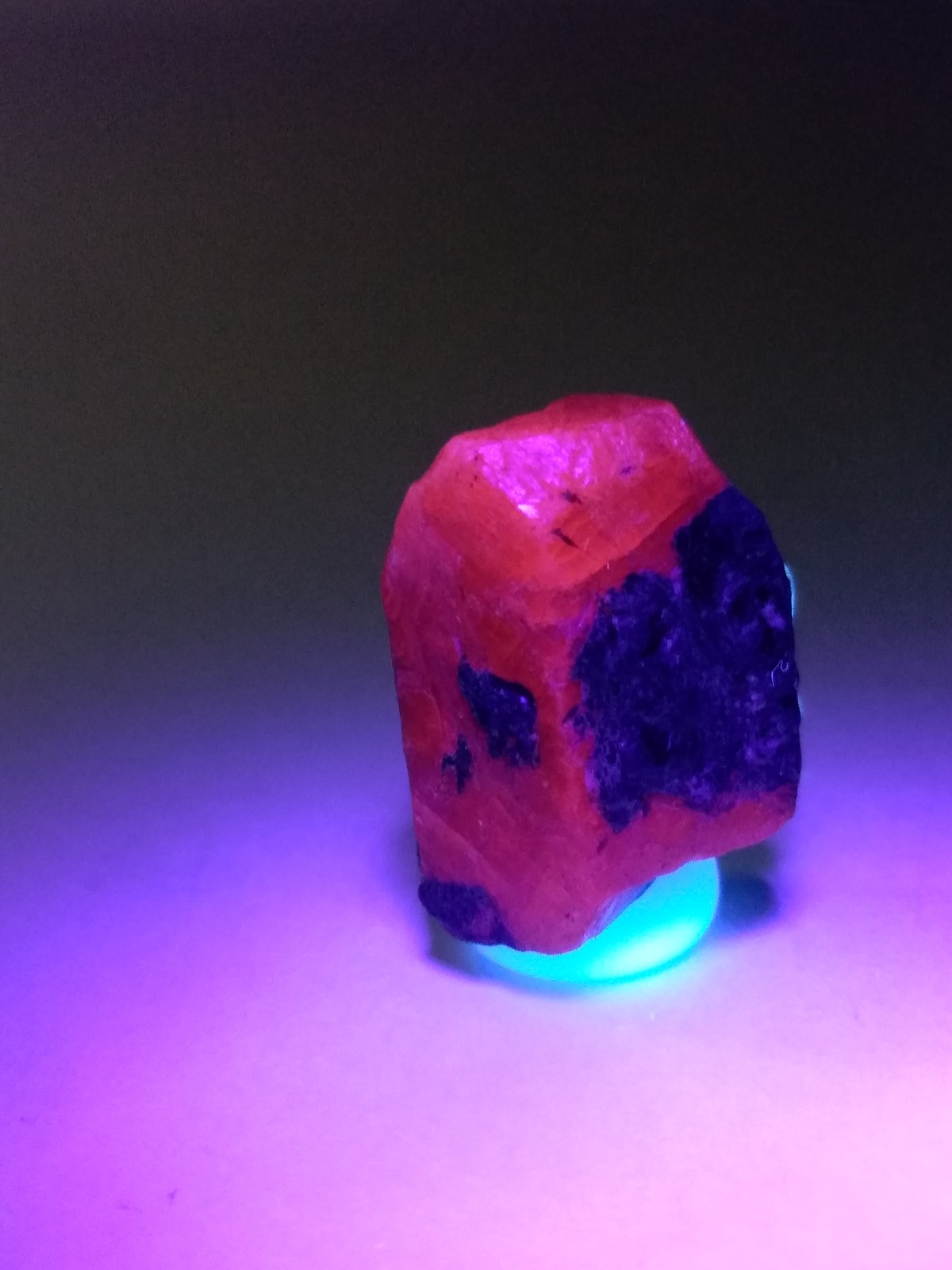 Corundum (variety ruby)
21 x 15 mm
(Autor: Sante Celiberti)