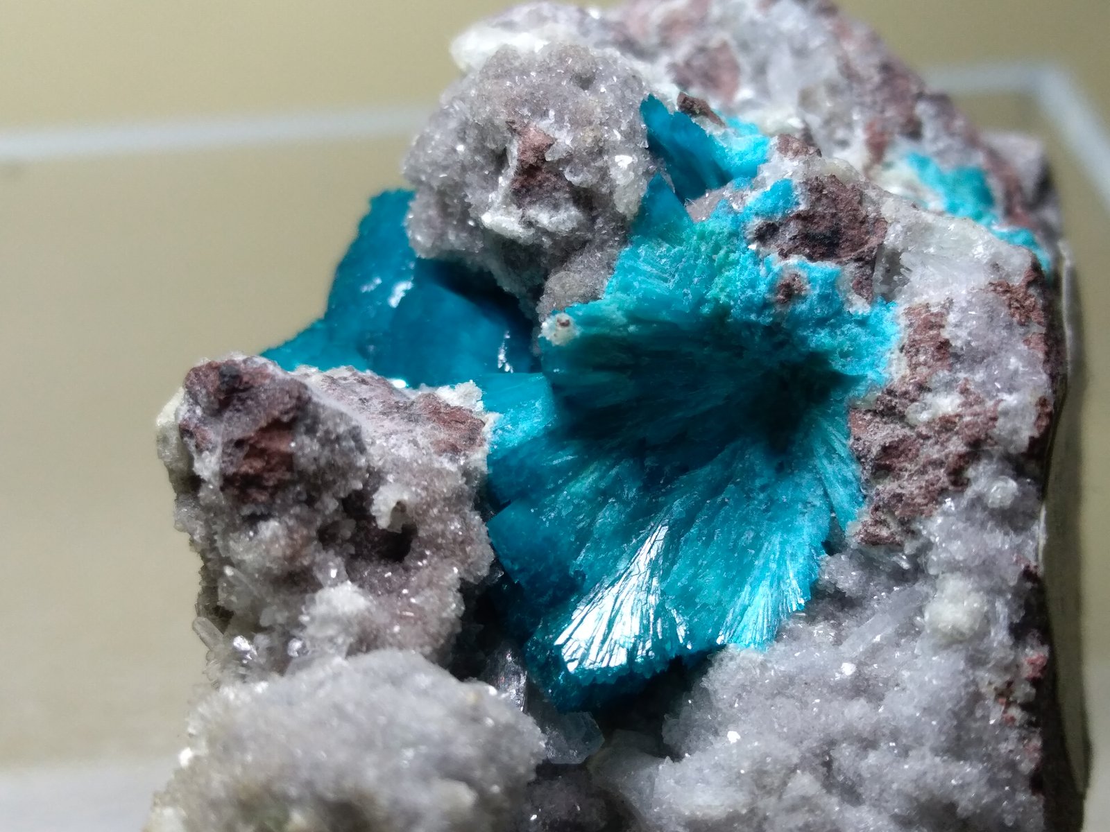 Cavansite, Stilbite-Ca
46 x 25 mm
(Autor: Sante Celiberti)