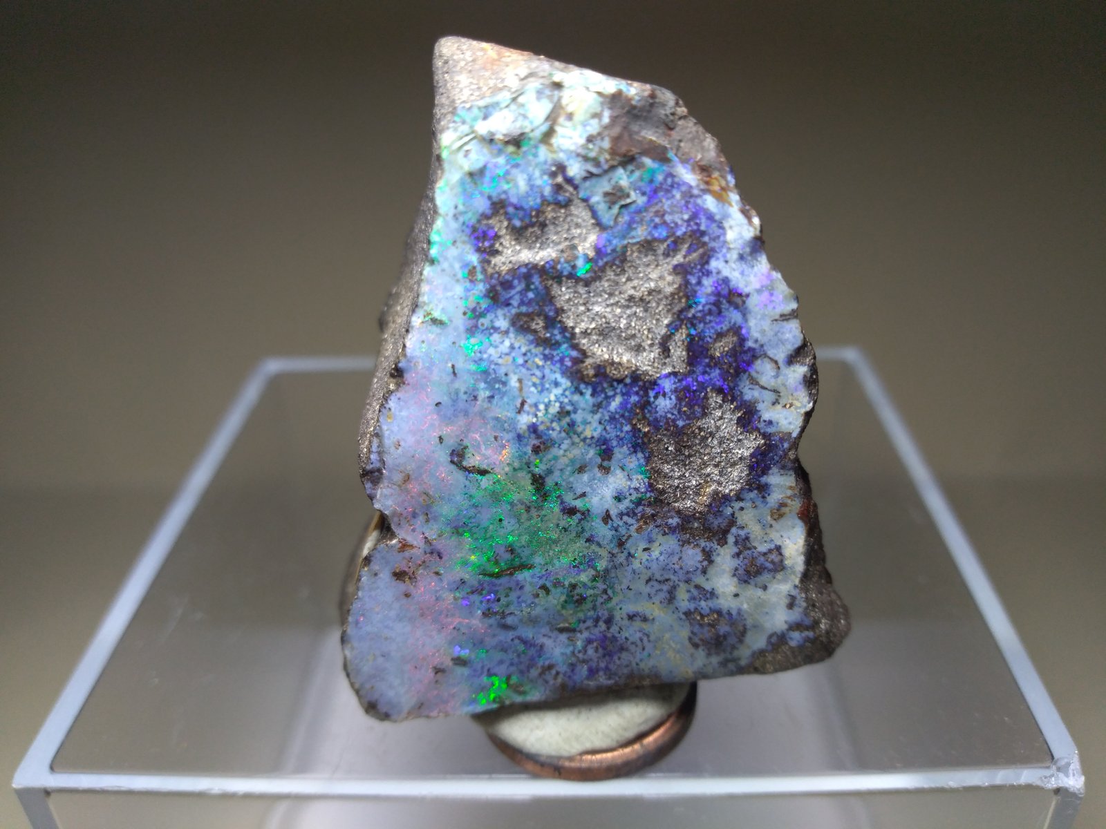 Opal
43 x 36 mm
(Autor: Sante Celiberti)