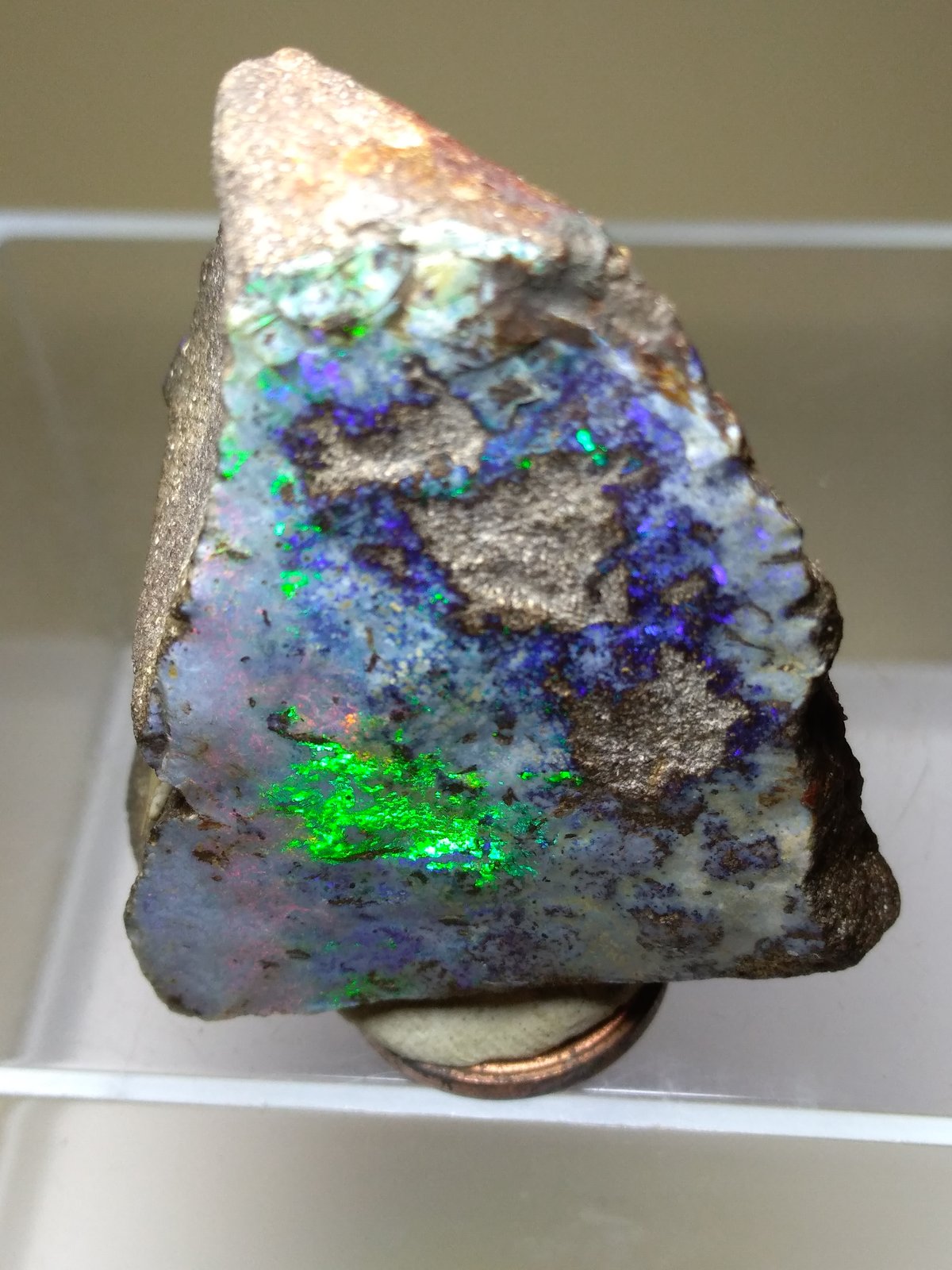 Opal
43 x 36 mm
(Autor: Sante Celiberti)