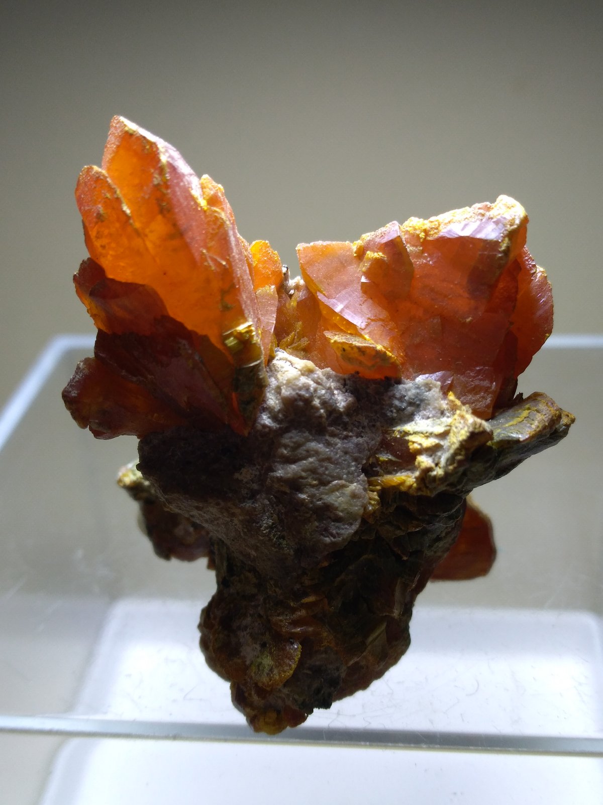 Orpiment
50 x 42 mm
(Autor: Sante Celiberti)