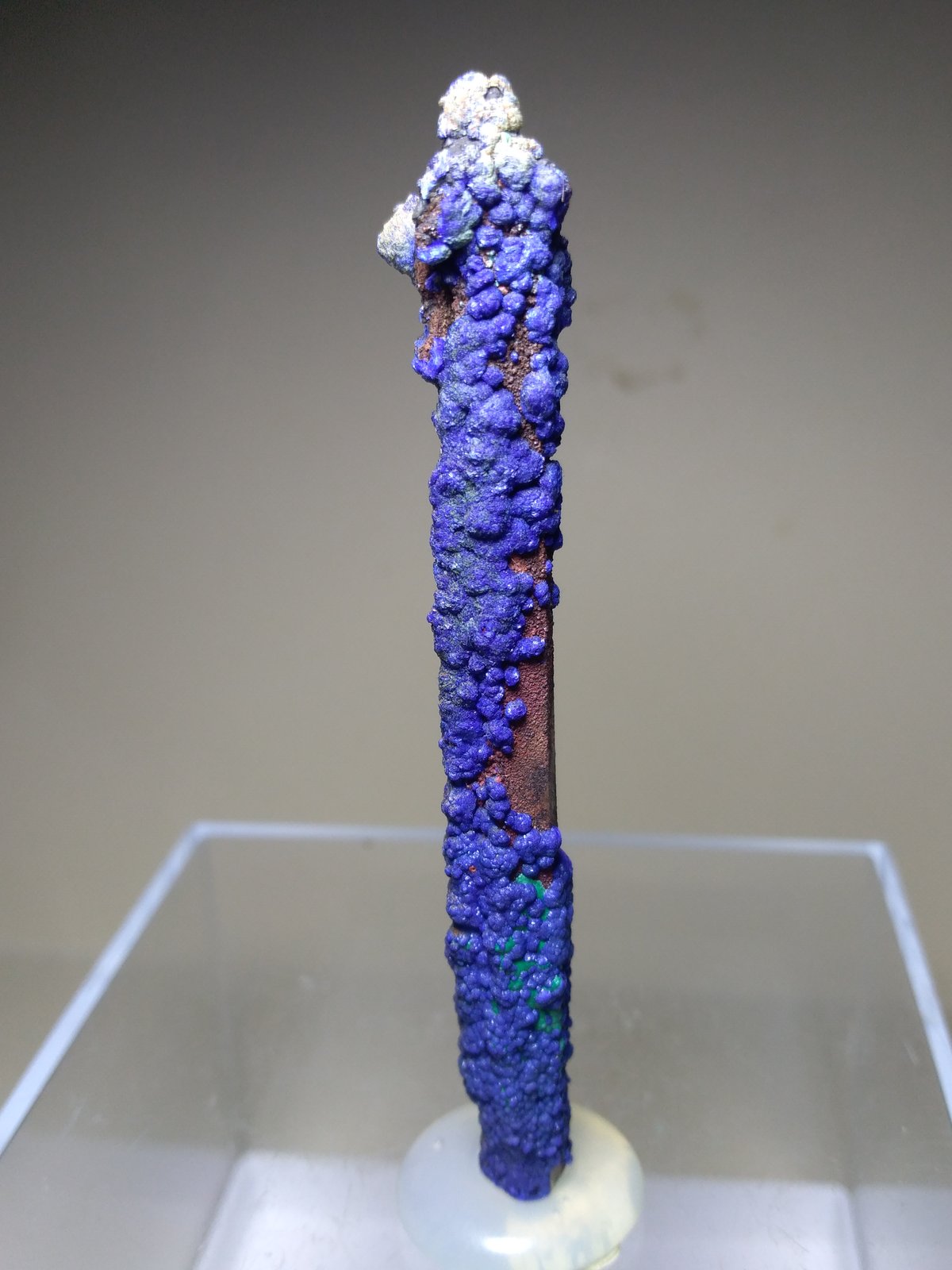 Azurite, Malachite, Quartz
70 x 11 mm
(Autor: Sante Celiberti)