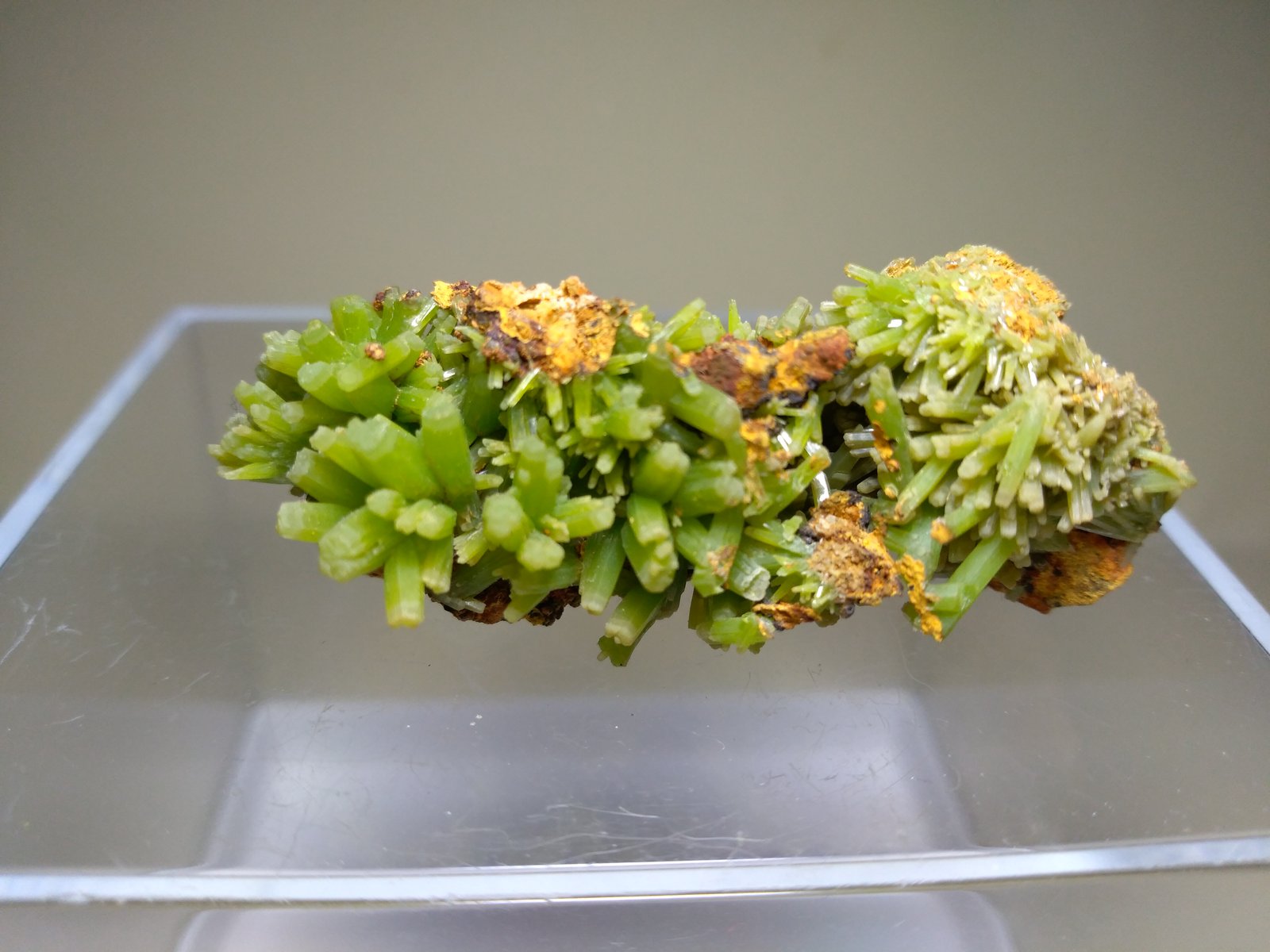 Pyromorphite
46 x 30 mm
(Autor: Sante Celiberti)