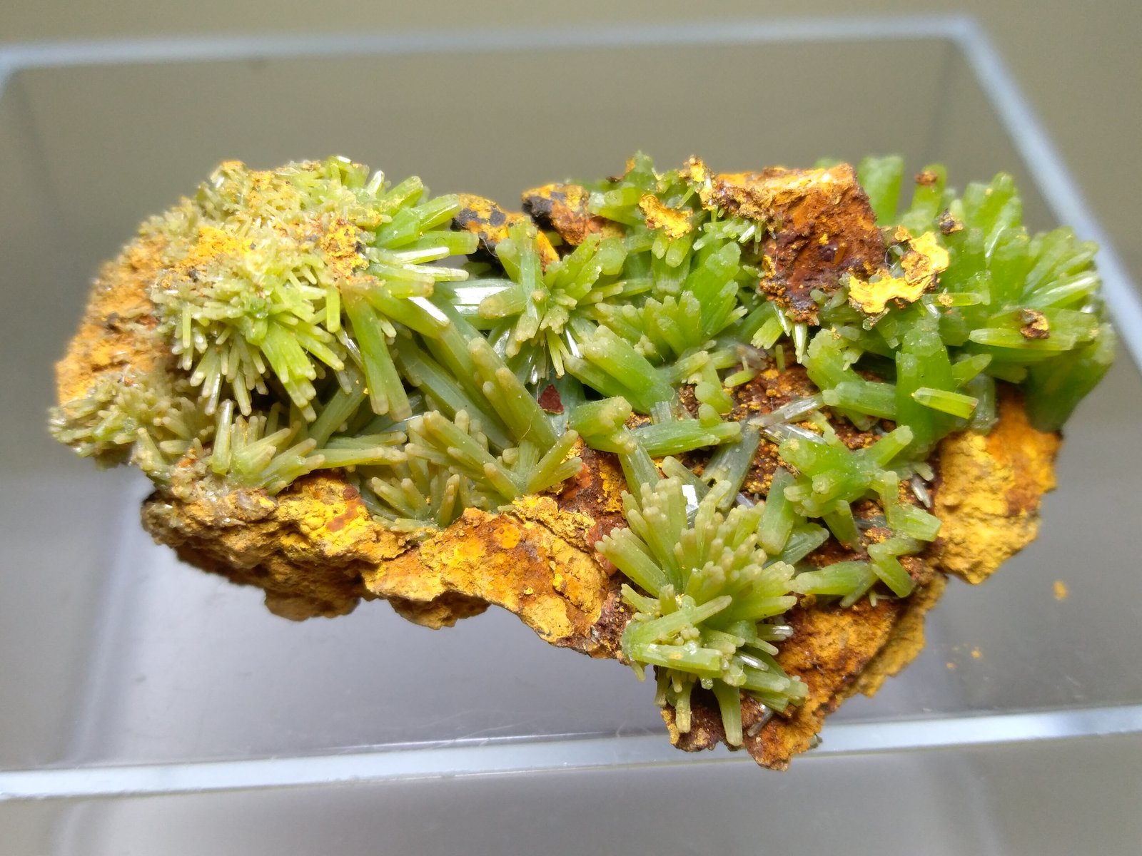 Pyromorphite
46 x 30 mm
(Autor: Sante Celiberti)