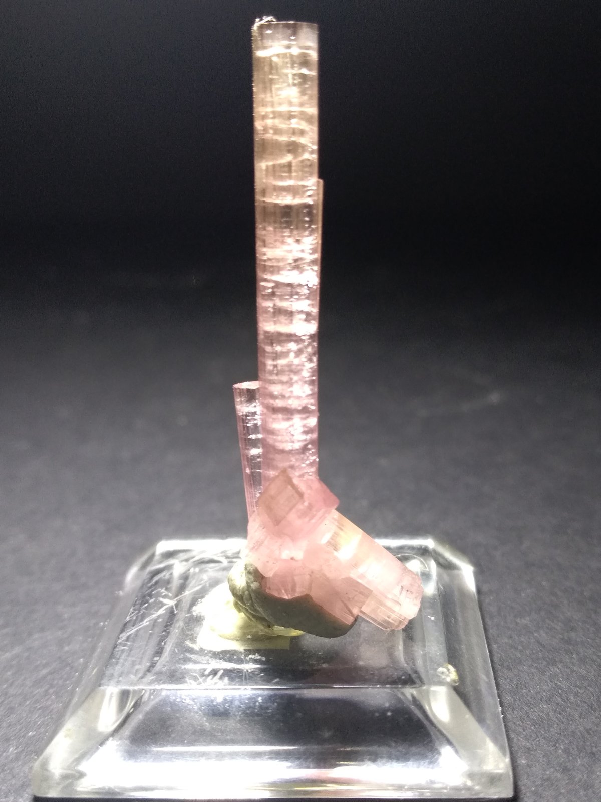 Elbaite
40 x 15 mm
(Autor: Sante Celiberti)