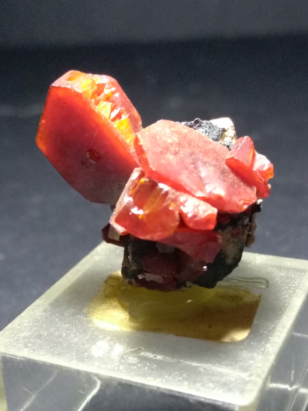 Vanadinite
25 x 25 mm
(Autor: Sante Celiberti)