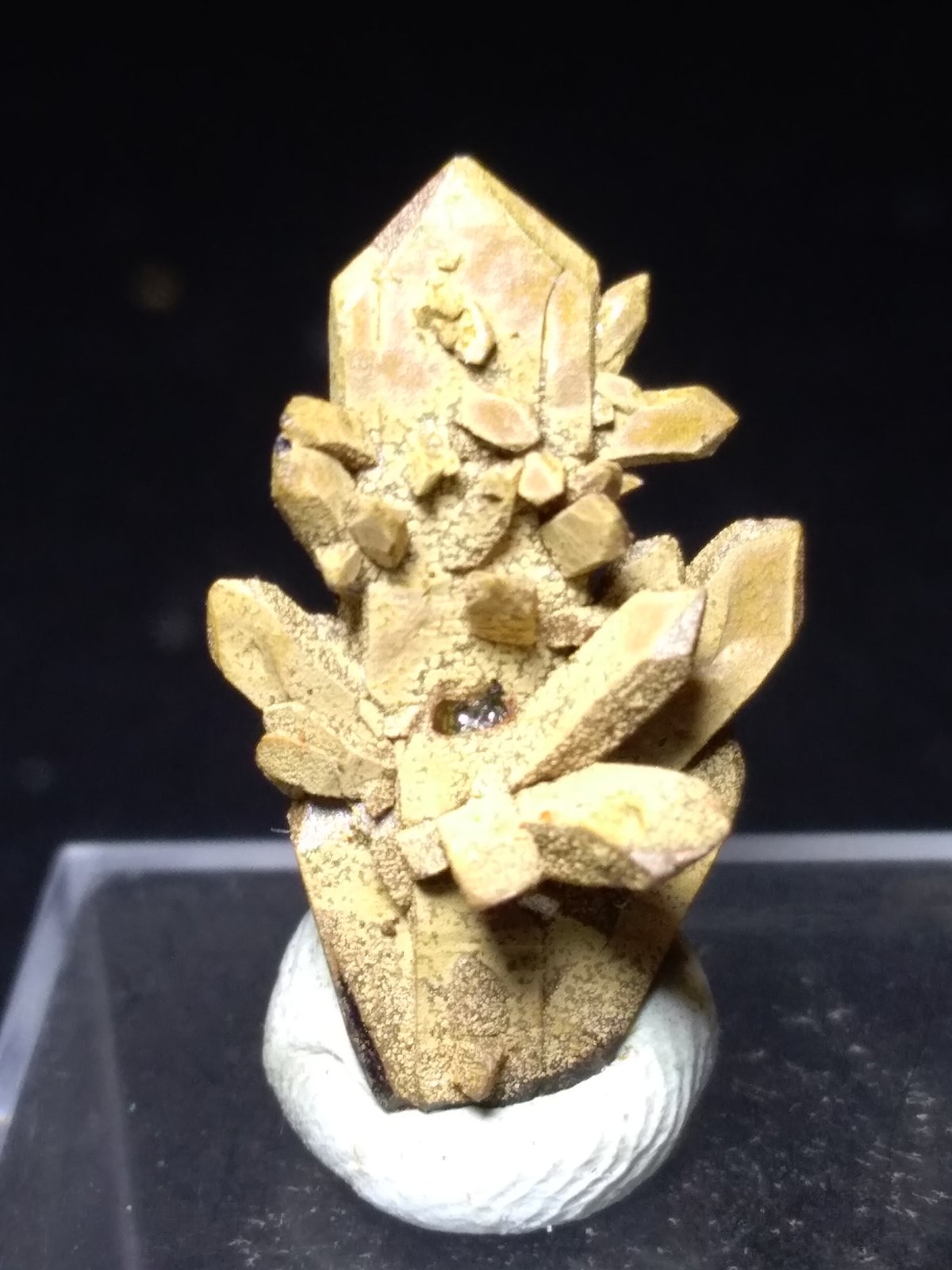 Scorodite, Chenevixite
20 x 12 mm
(Autor: Sante Celiberti)