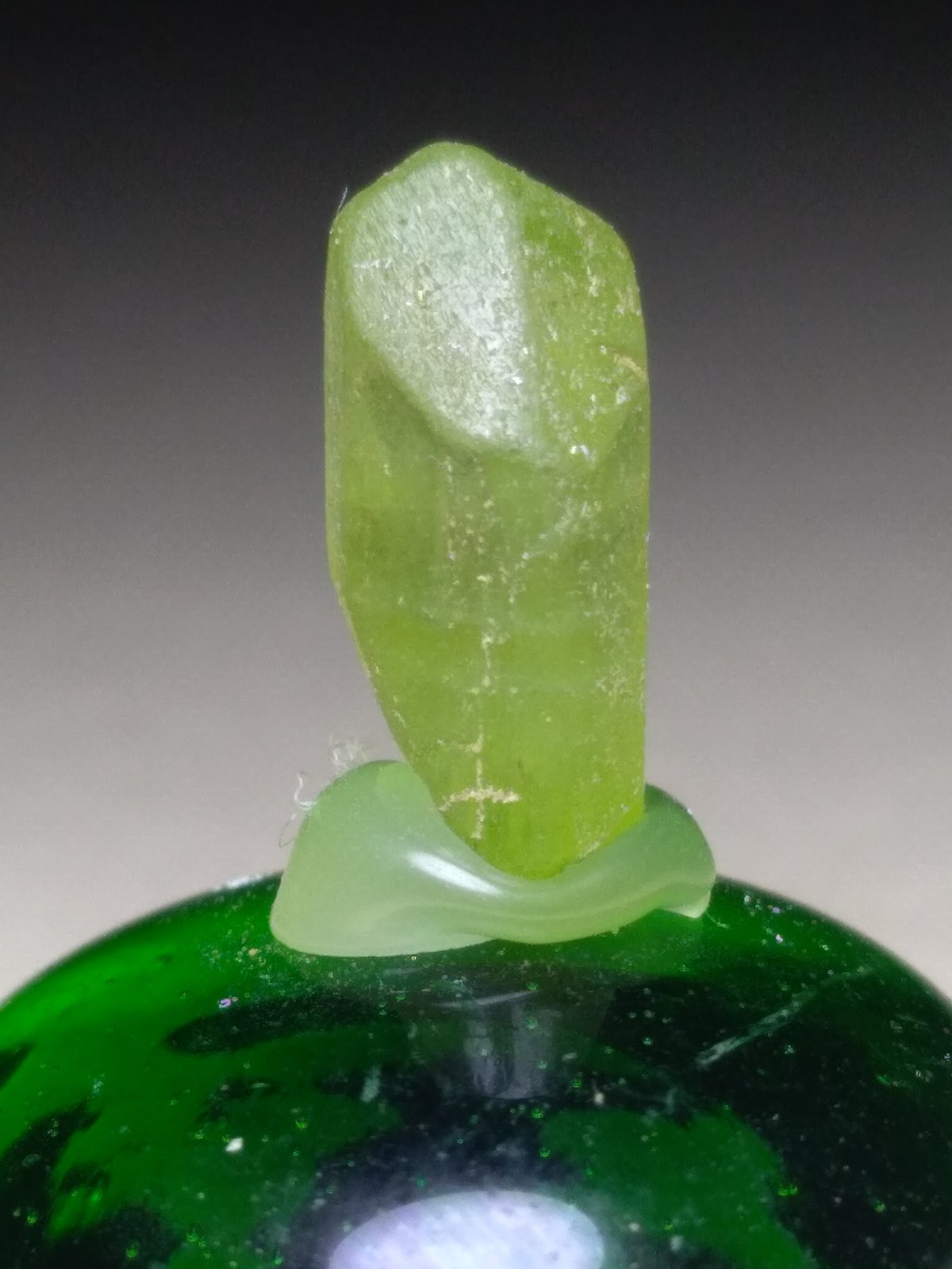 Forsterite (variety peridot)
12 x 7 mm
(Autor: Sante Celiberti)
