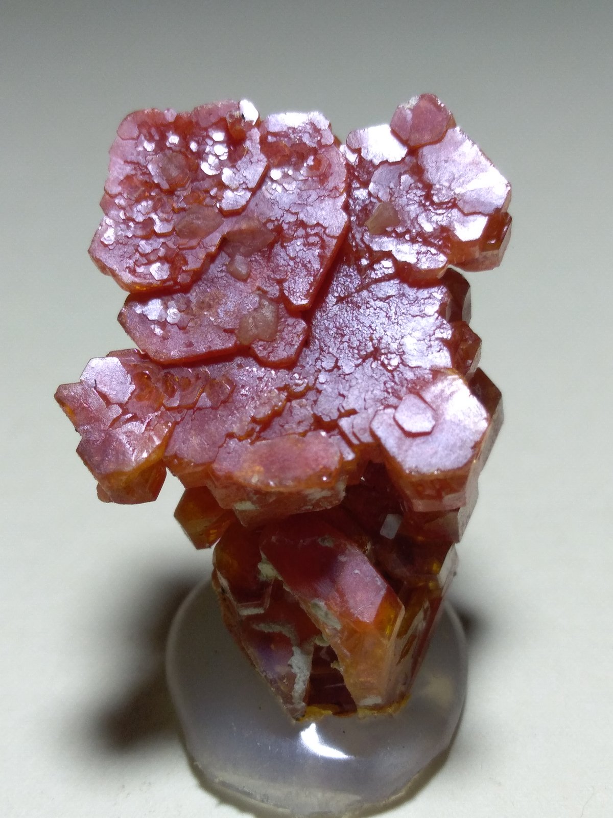 Vanadinite
30 x 17 mm
(Autor: Sante Celiberti)