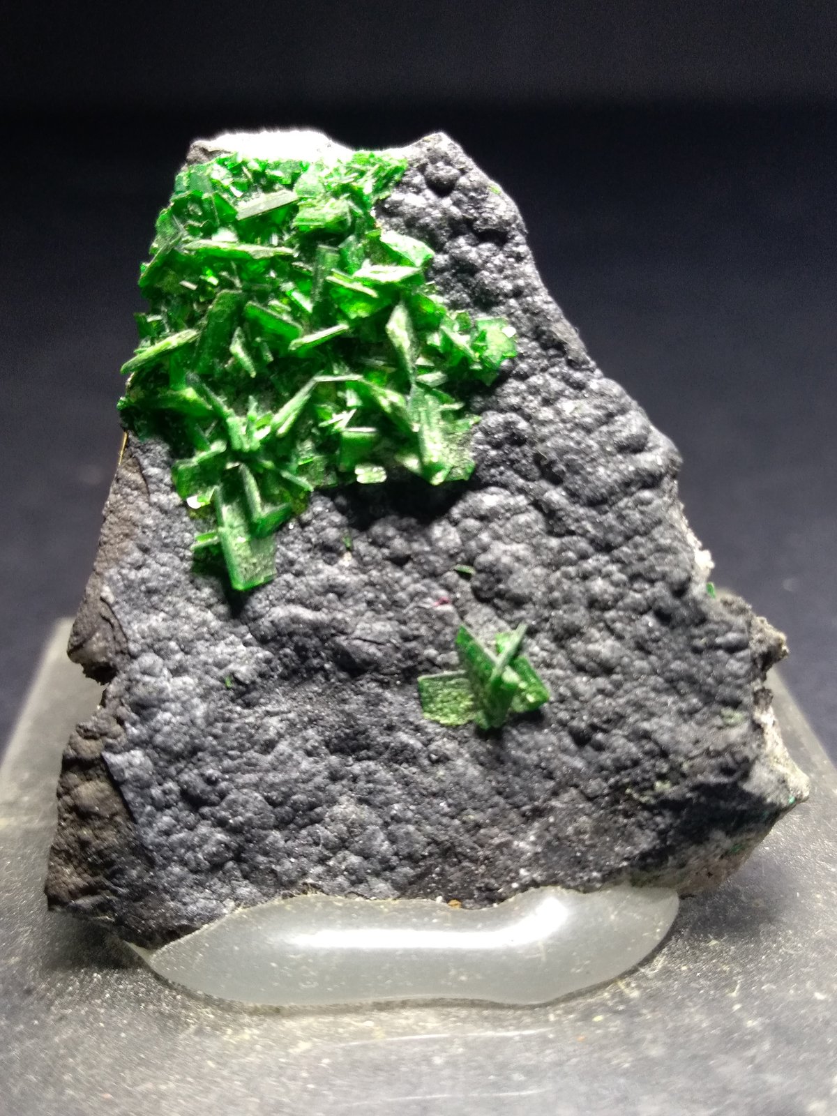 Torbernite
30 x 25 mm
(Autor: Sante Celiberti)