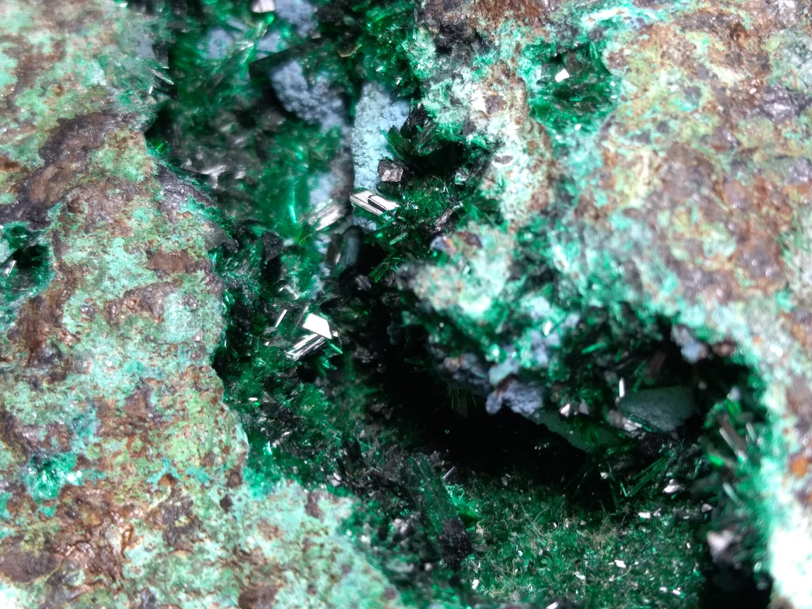 Dioptase
77 x 60 mm
(Autor: Sante Celiberti)