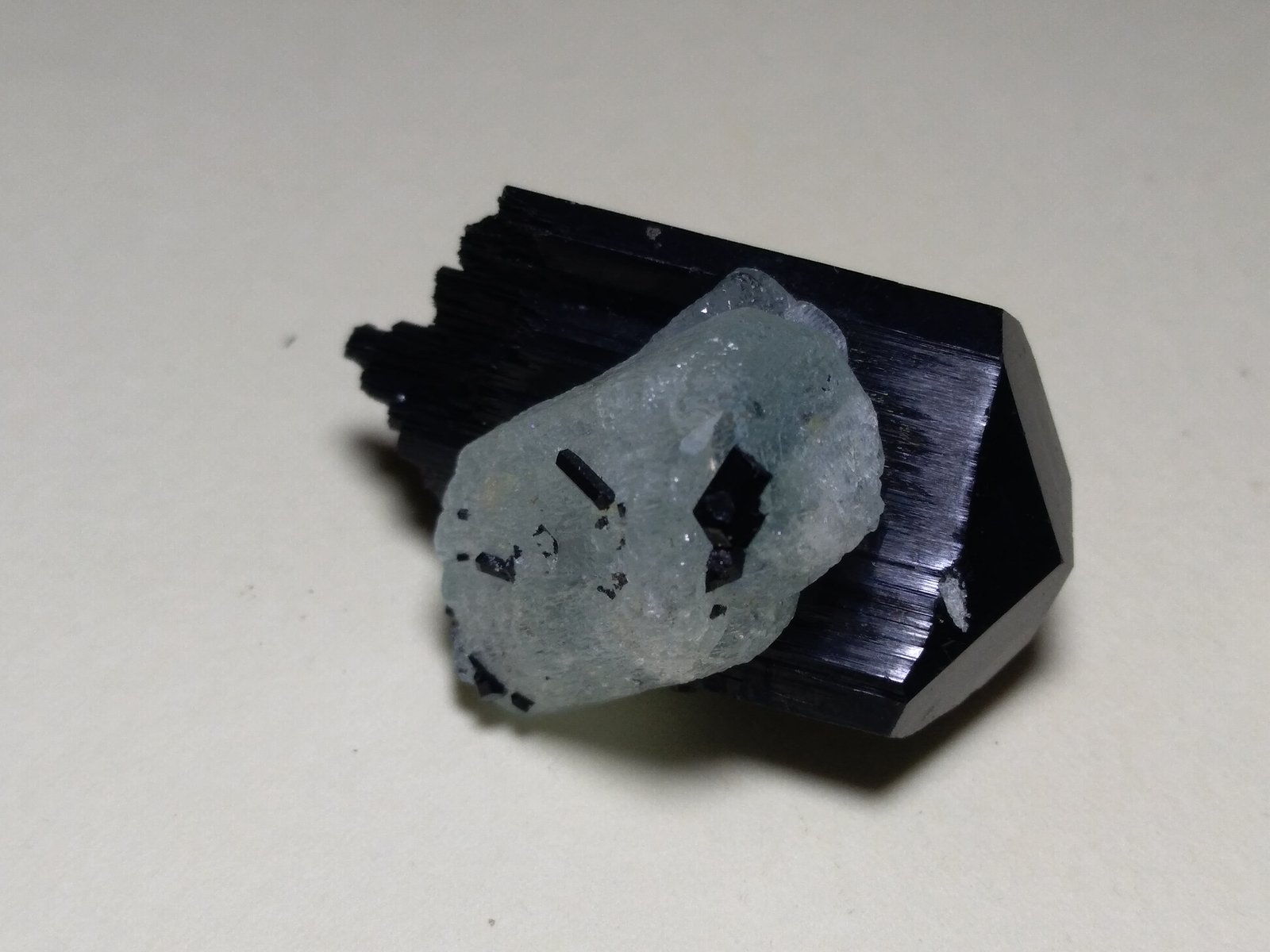 Tourmaline (variety schorl), Beryl
31 x 22 mm
(Autor: Sante Celiberti)