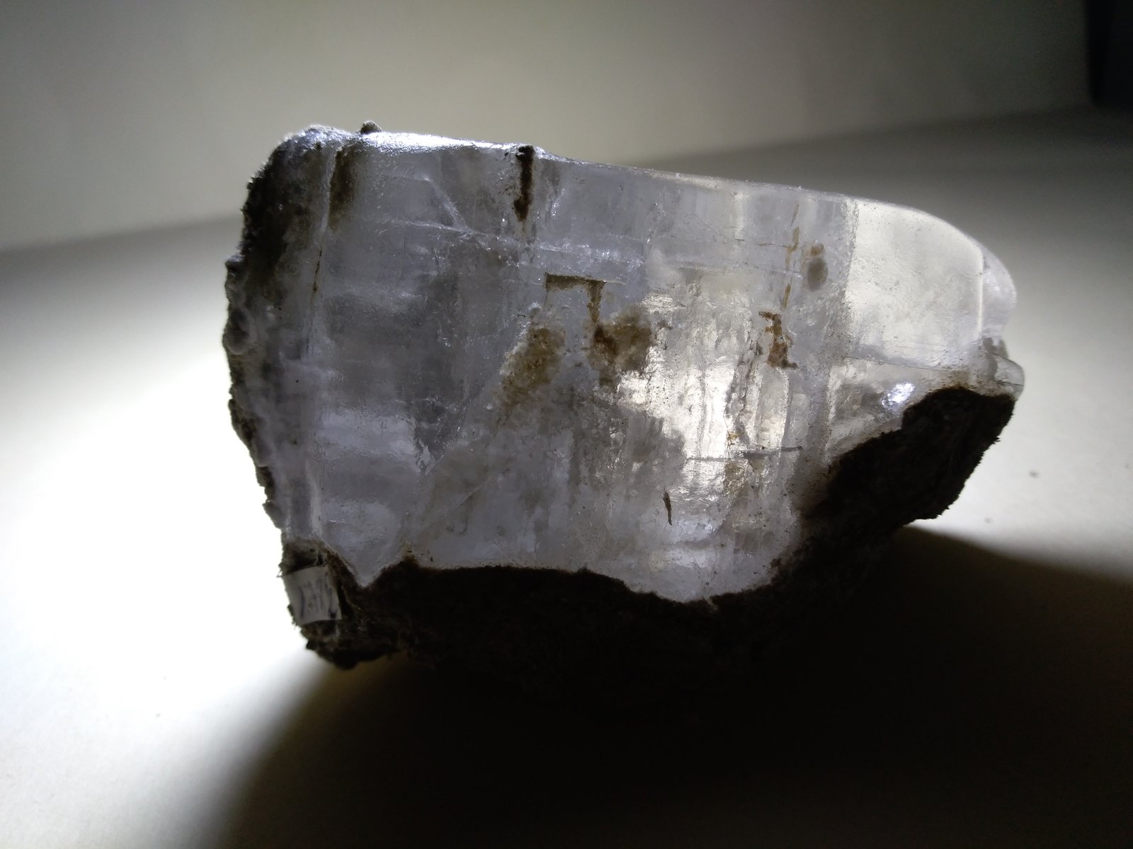 Halite
78 x 52 mm
(Autor: Sante Celiberti)