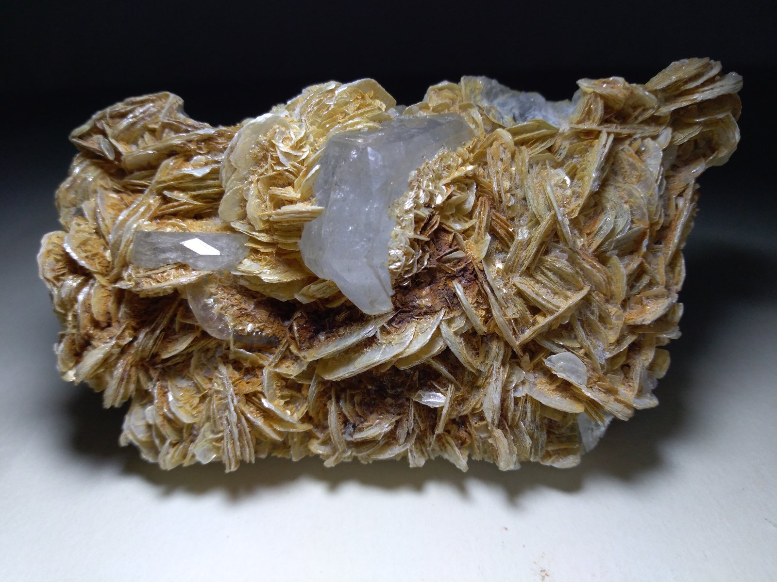 Beryl (variety aquamarine), Muscovite
88 x 52 mm
(Autor: Sante Celiberti)