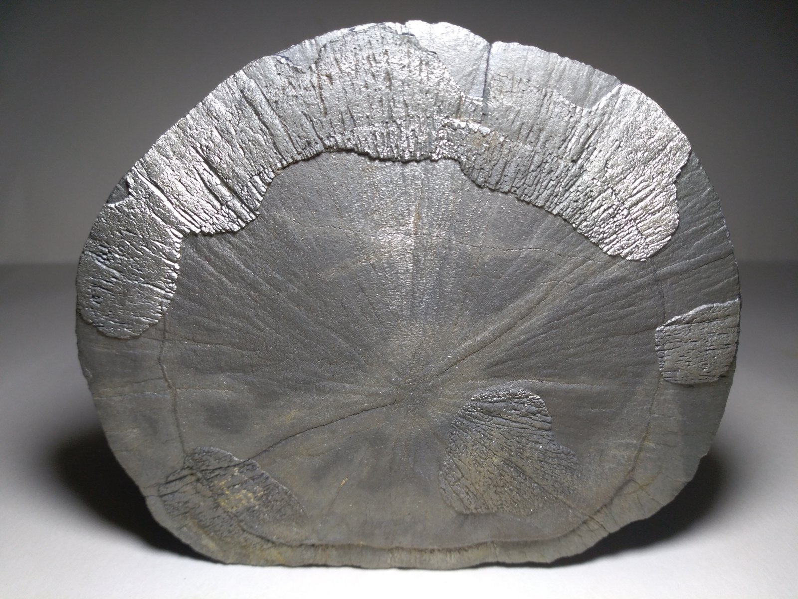 Pyrite
11,5 x 10 cm
(Autor: Sante Celiberti)