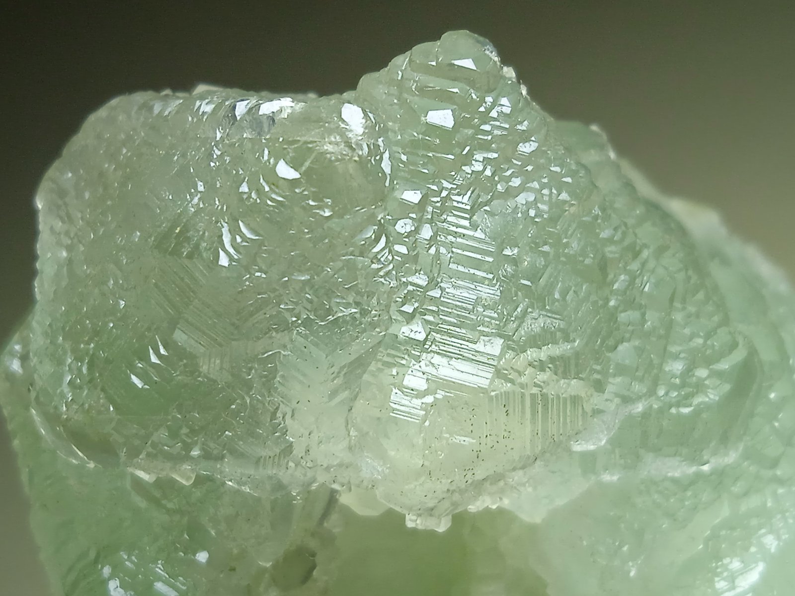 Fluorite, Calcite
82 x 80 mm
(Autor: Sante Celiberti)
