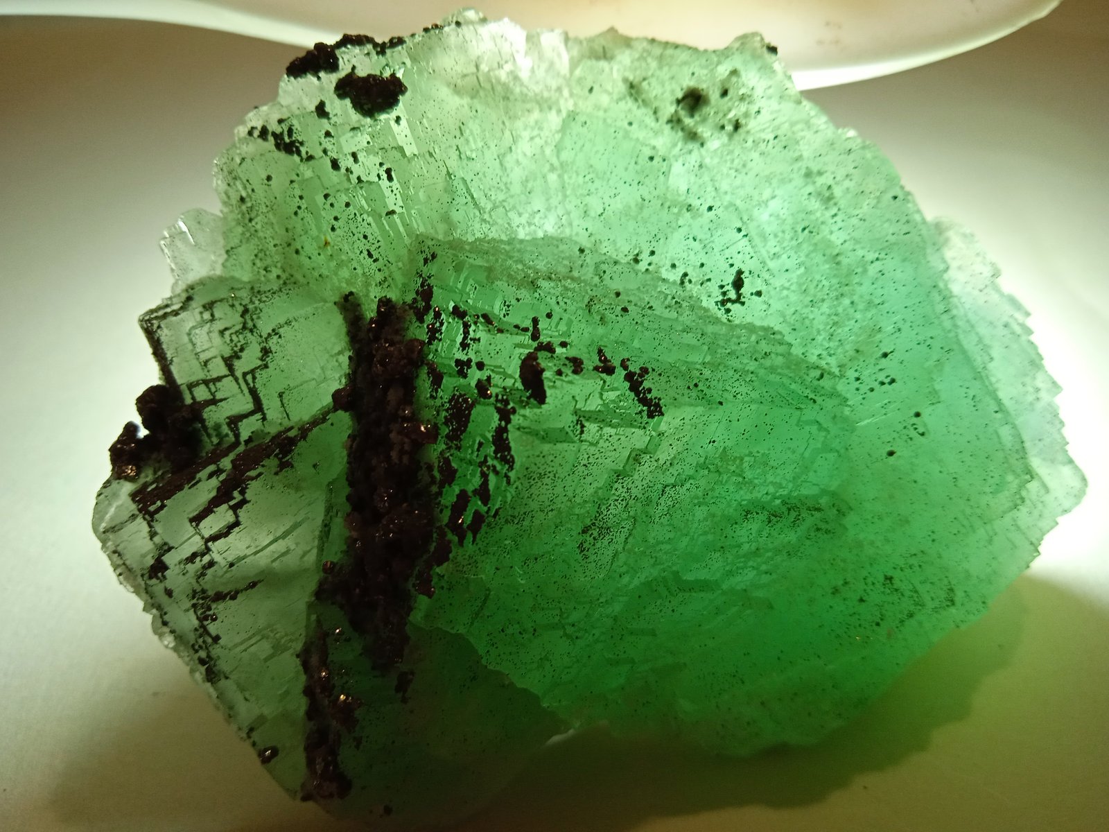 Fluorite, Pyrite
95 x 72 mm
(Autor: Sante Celiberti)