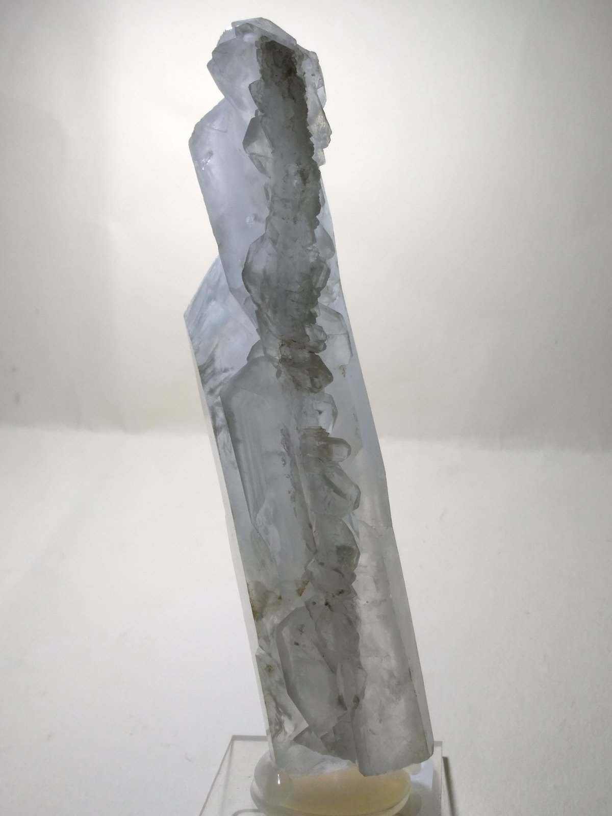 Quartz (variety faden)
12,5 x 3 cm
(Autor: Sante Celiberti)