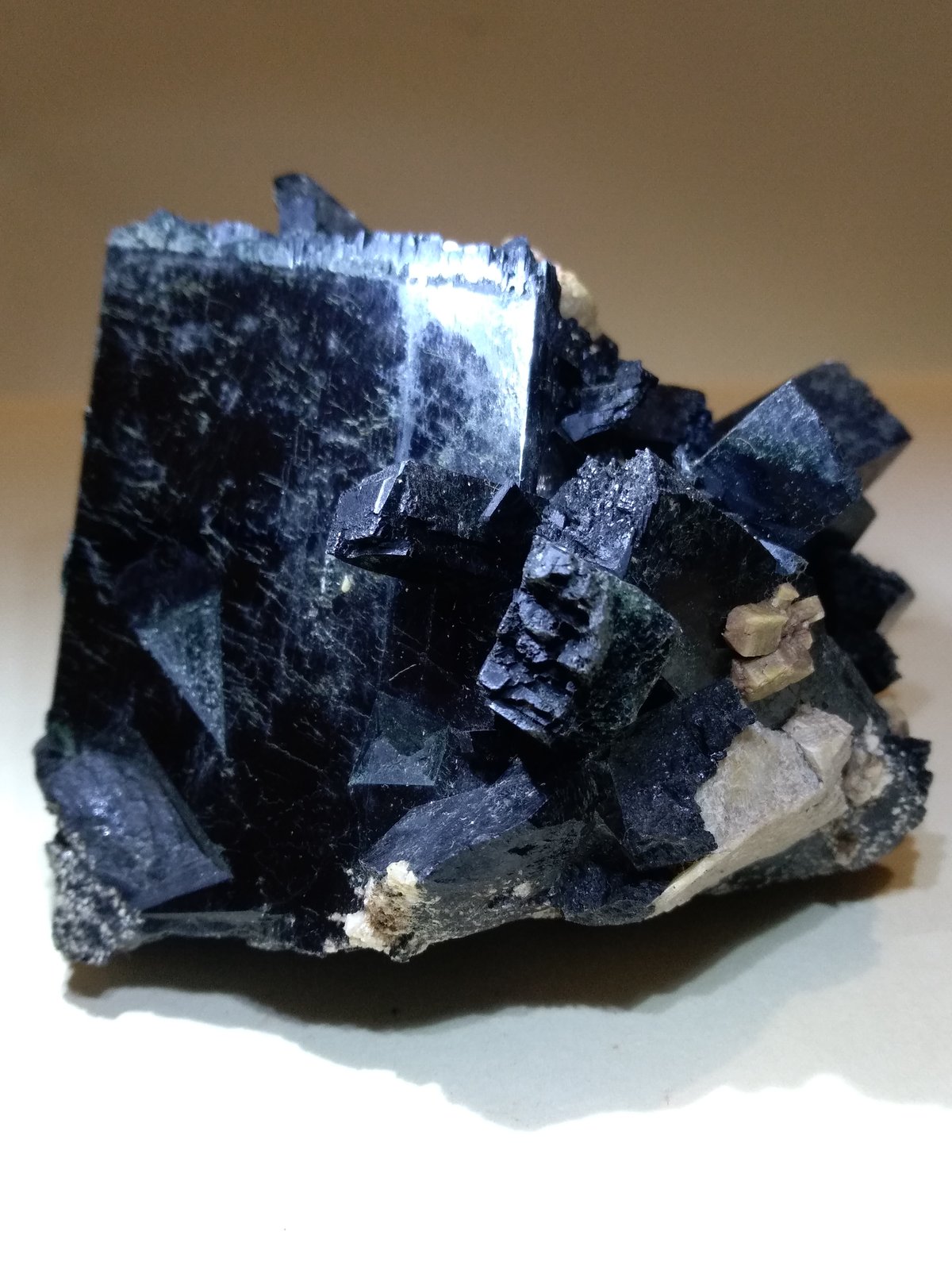 Aegirine, Zircon
77 x 63 mm
(Autor: Sante Celiberti)