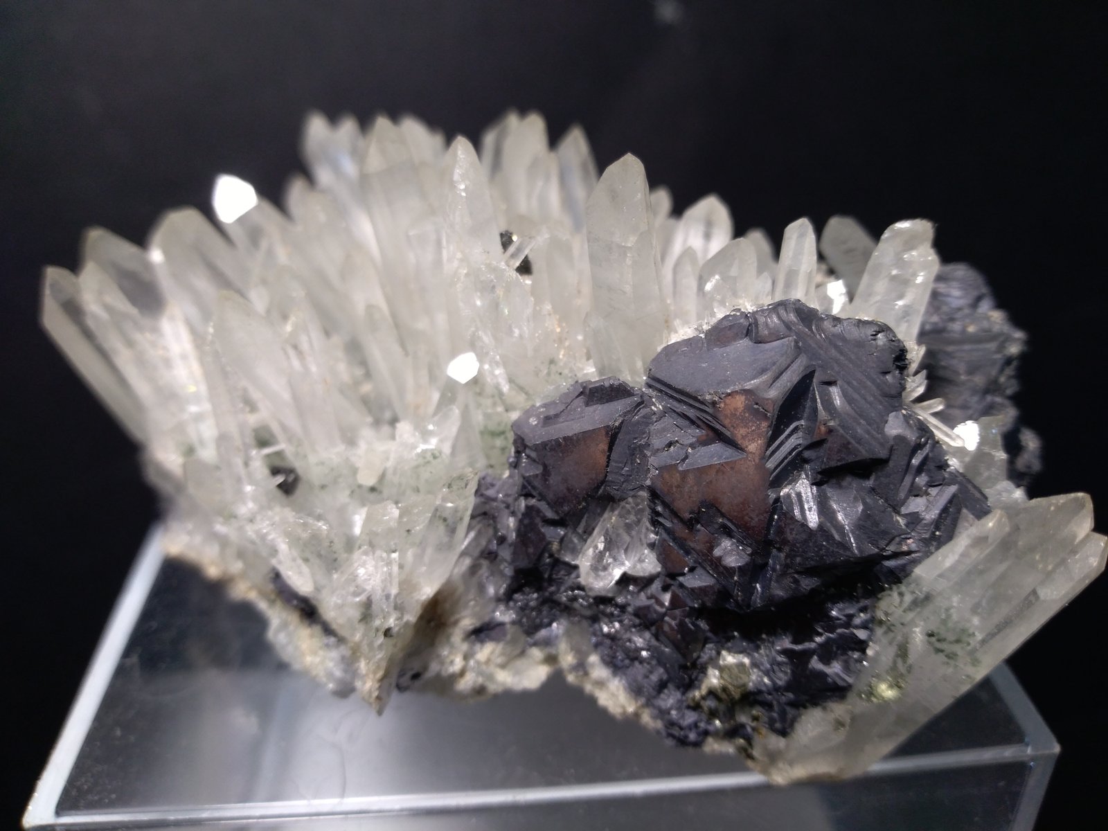 Galena, Quartz
87 x 57 mm
(Autor: Sante Celiberti)
