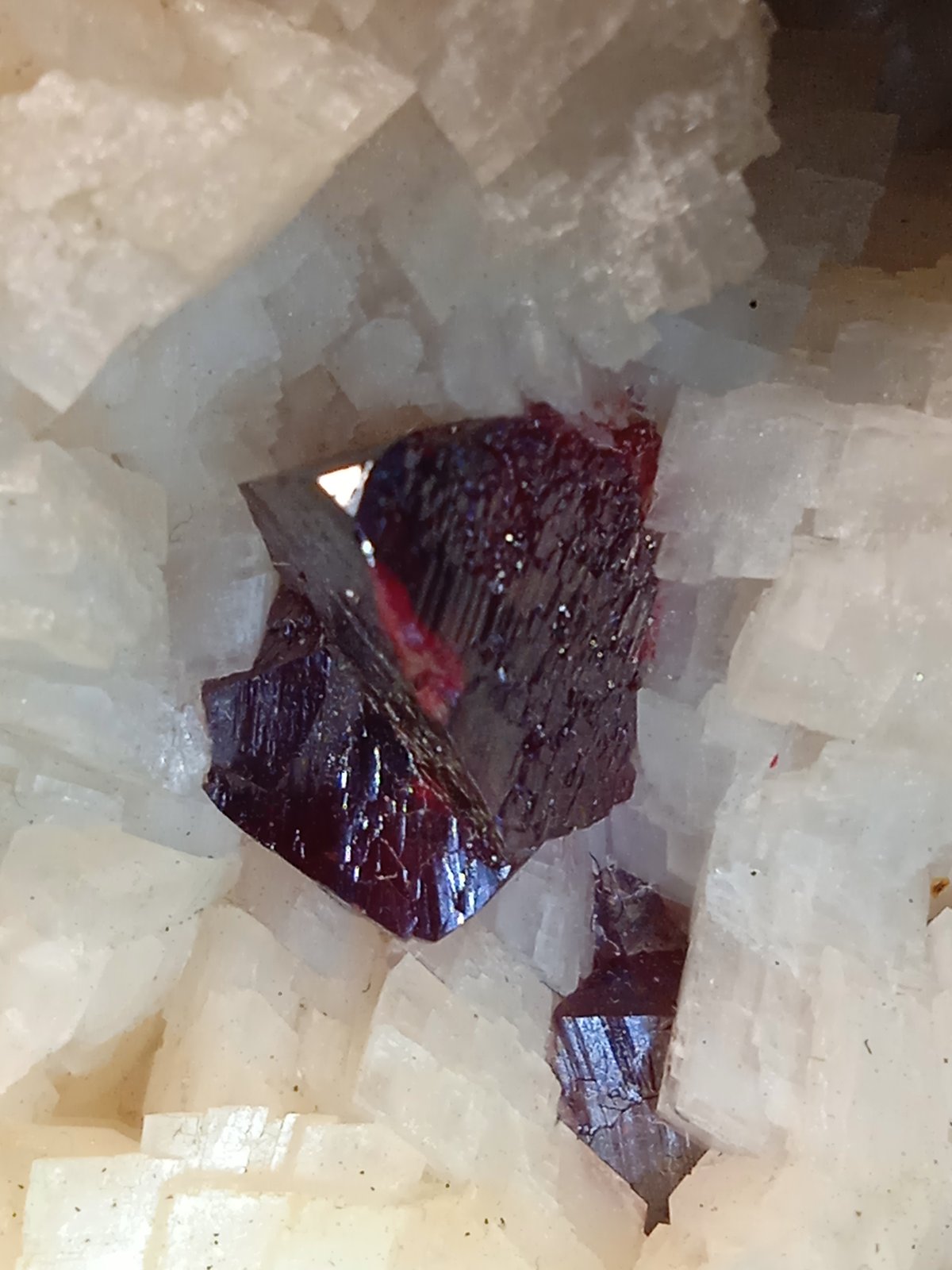 Cinnabar, Dolomite
62 x 39 mm
(Autor: Sante Celiberti)