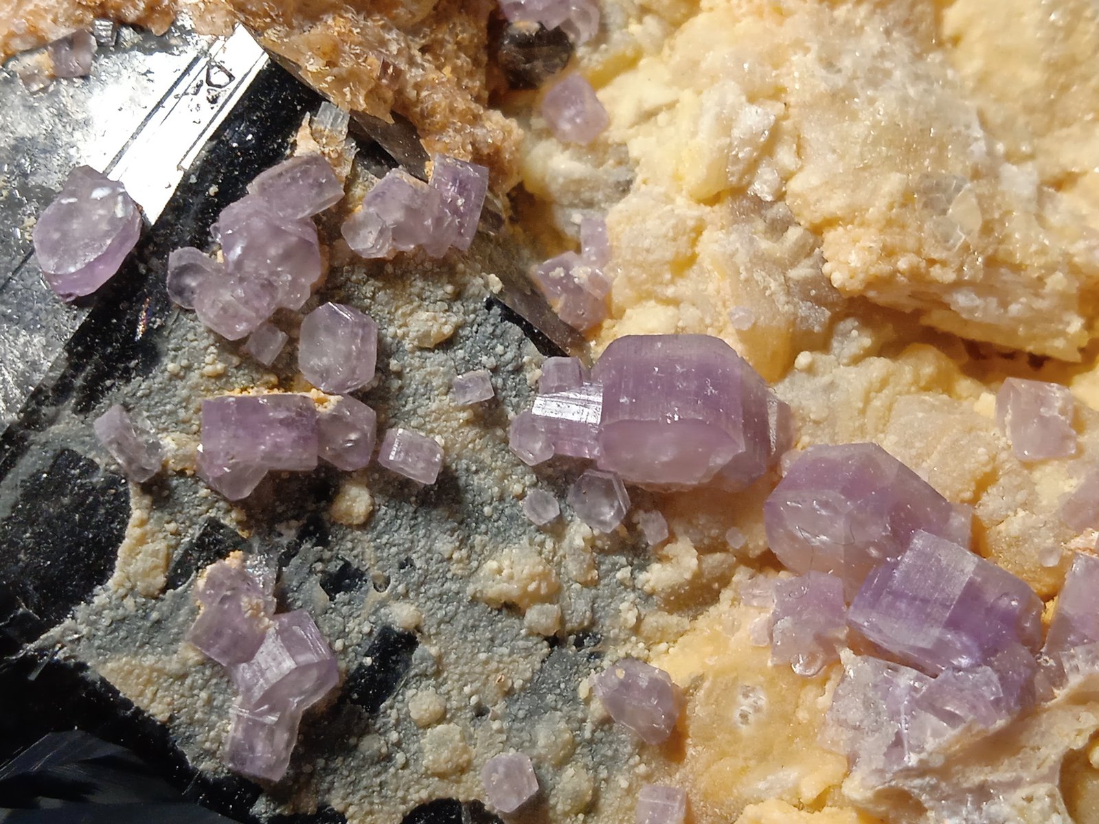 Fluorapatite, Quartz (variety smoky), K-Feldspar
72 x 52 mm
(Autor: Sante Celiberti)