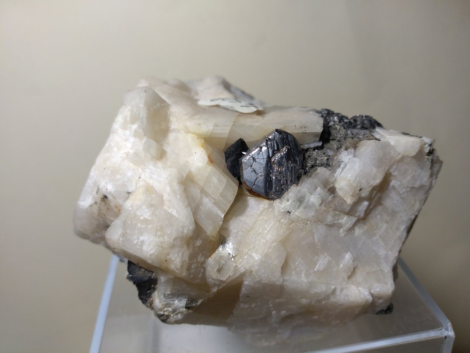 Carrollite, Bornite
78 x 72 mm
(Autor: Sante Celiberti)