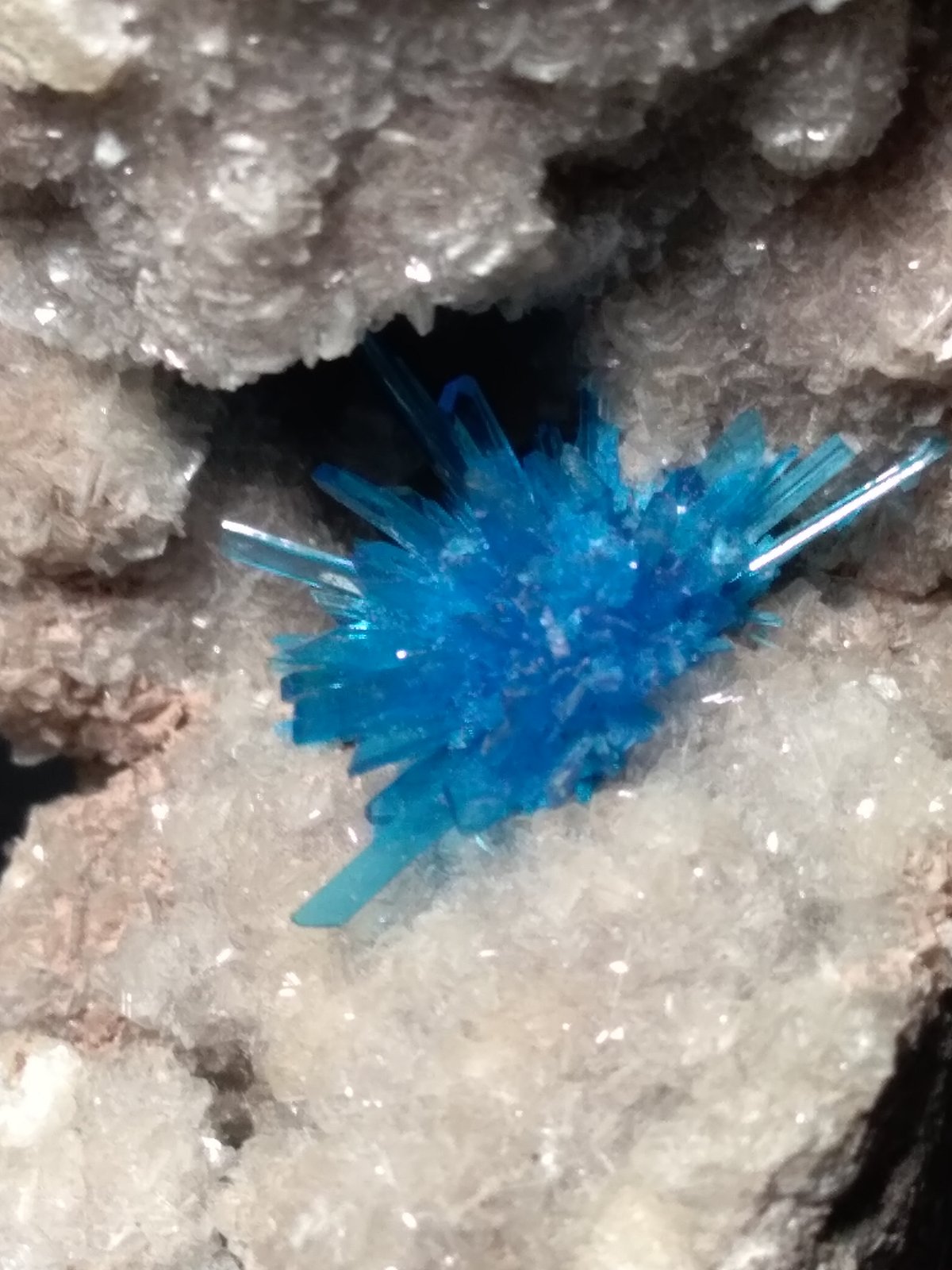 Pentagonite
55 x 35 mm
(Autor: Sante Celiberti)
