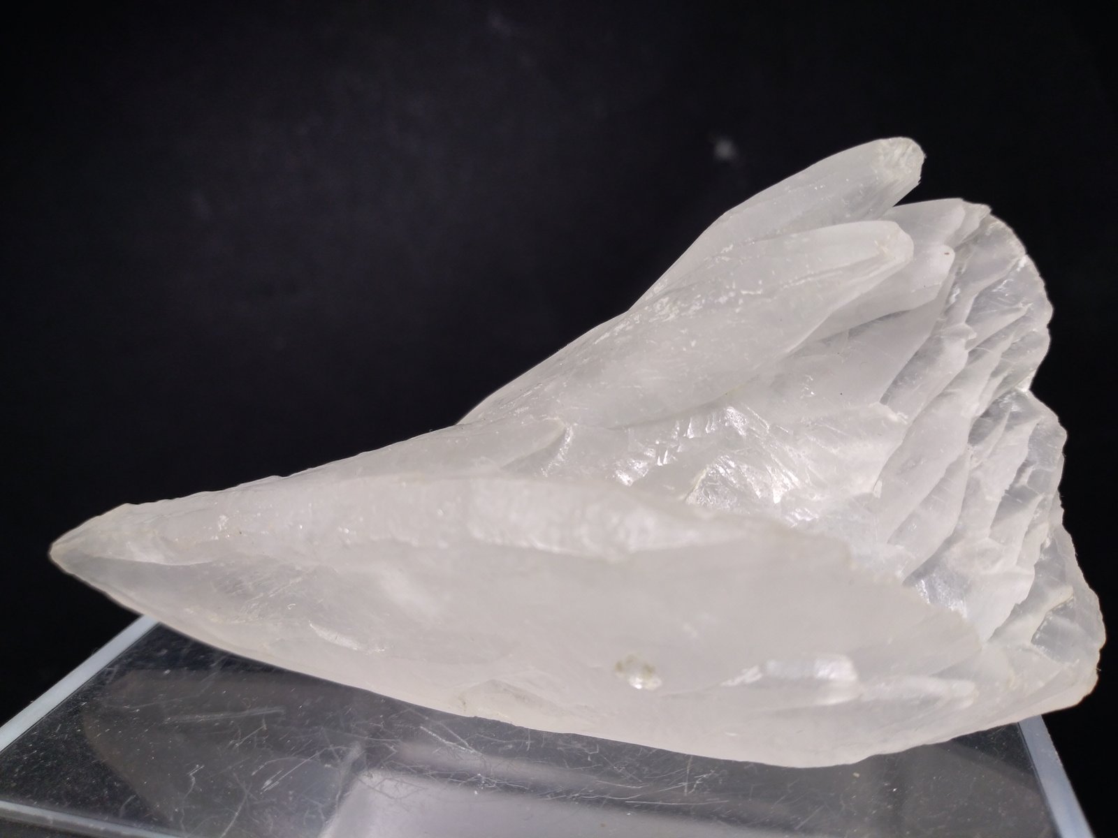 Calcite
83 x 43 mm
(Autor: Sante Celiberti)