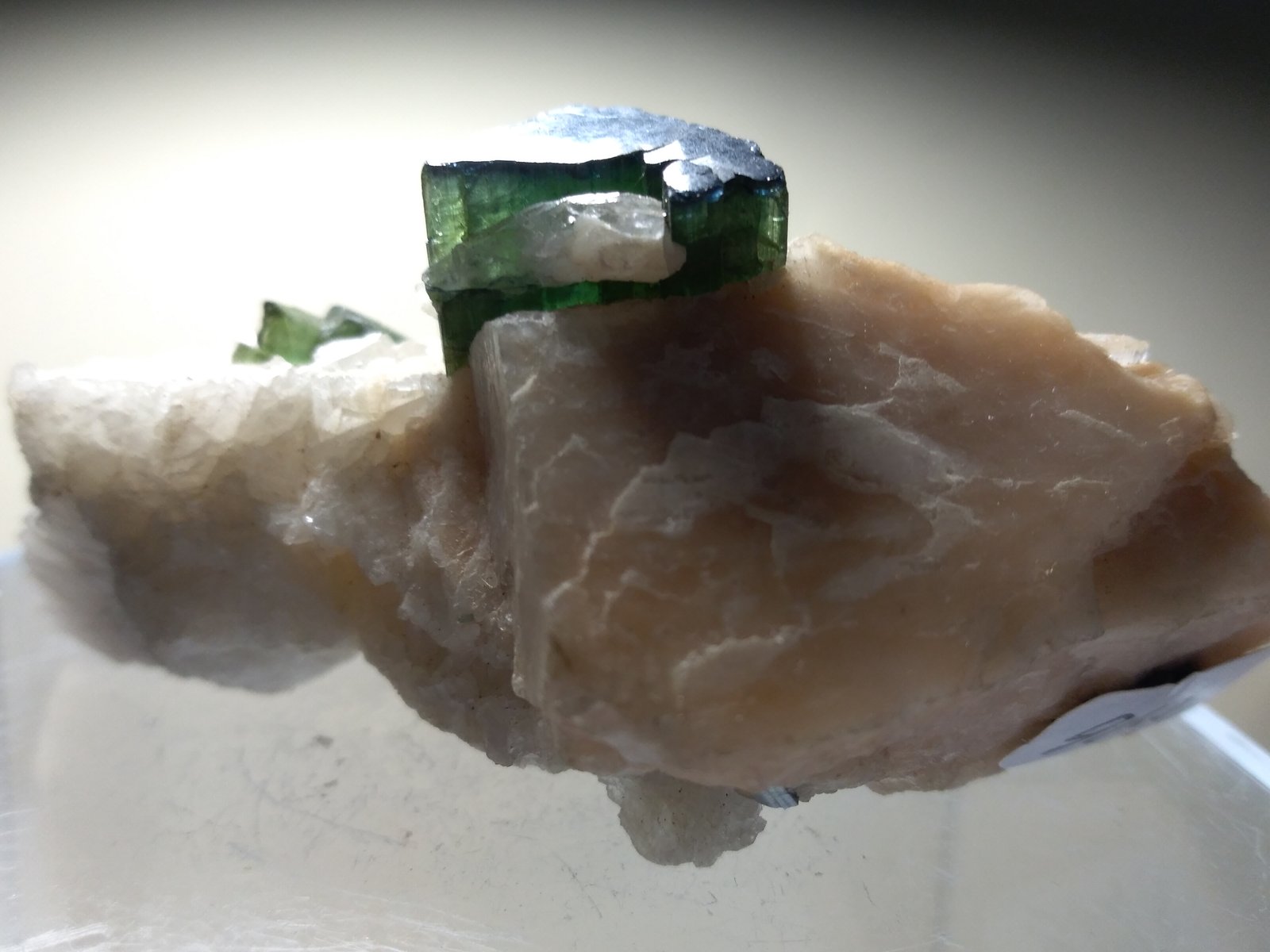 Elbaite
66 x 34 mm
(Autor: Sante Celiberti)