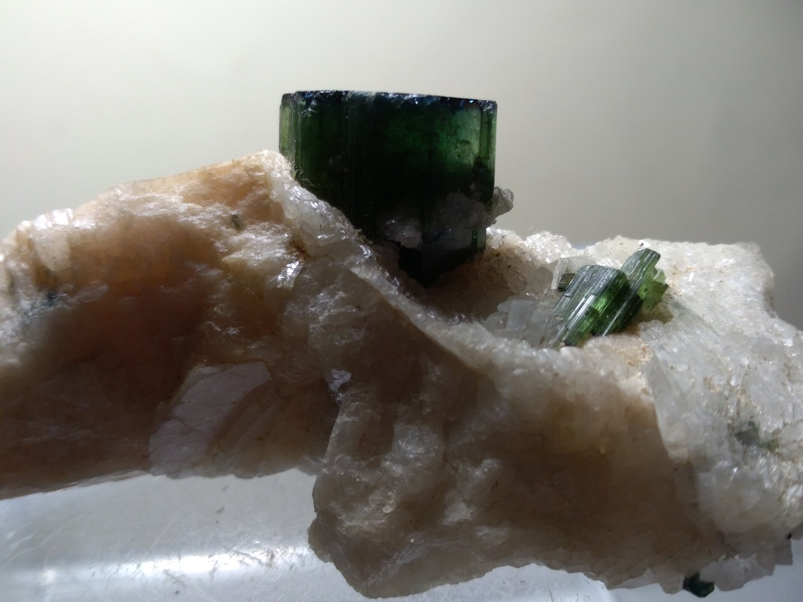 Elbaite
66 x 34 mm
(Autor: Sante Celiberti)