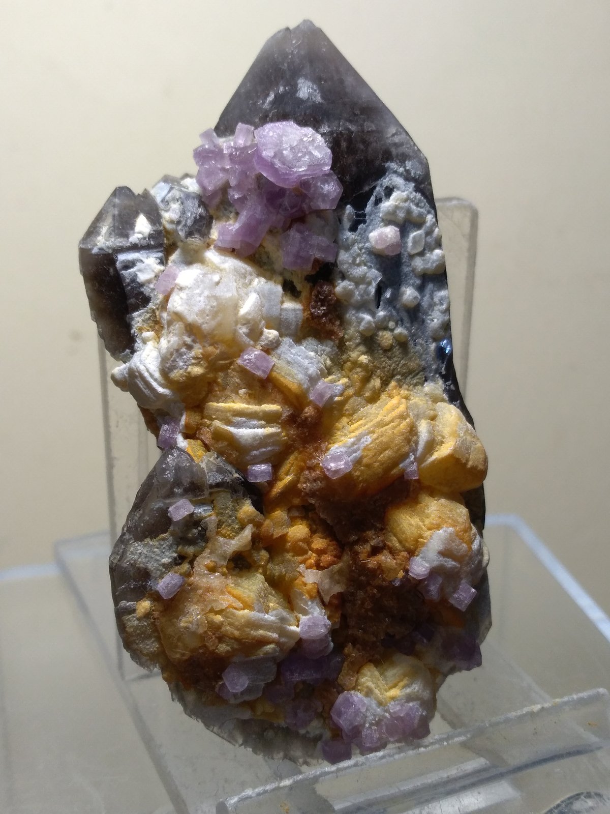 Fluorapatite, Quartz (variety smoky), Muscovite
67 x 39 mm
(Autor: Sante Celiberti)