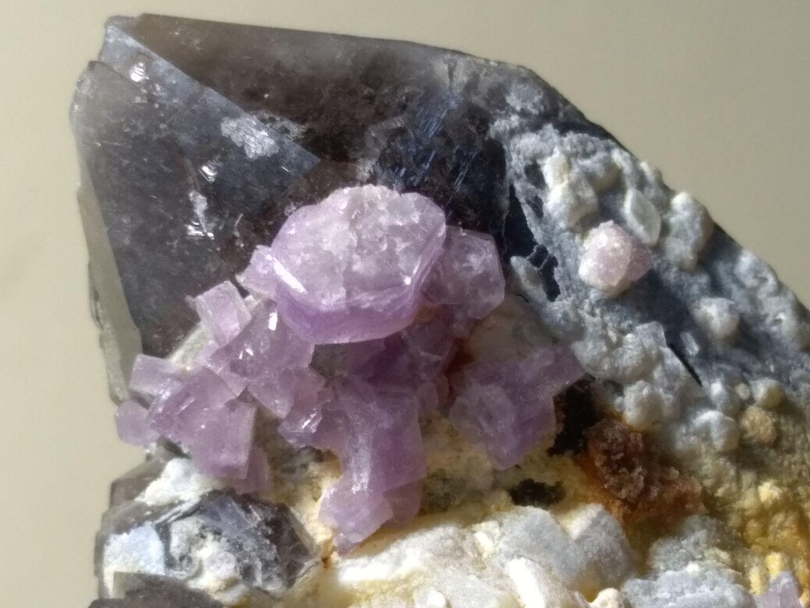 Fluorapatite, Quartz (variety smoky), Muscovite
67 x 39 mm
(Autor: Sante Celiberti)
