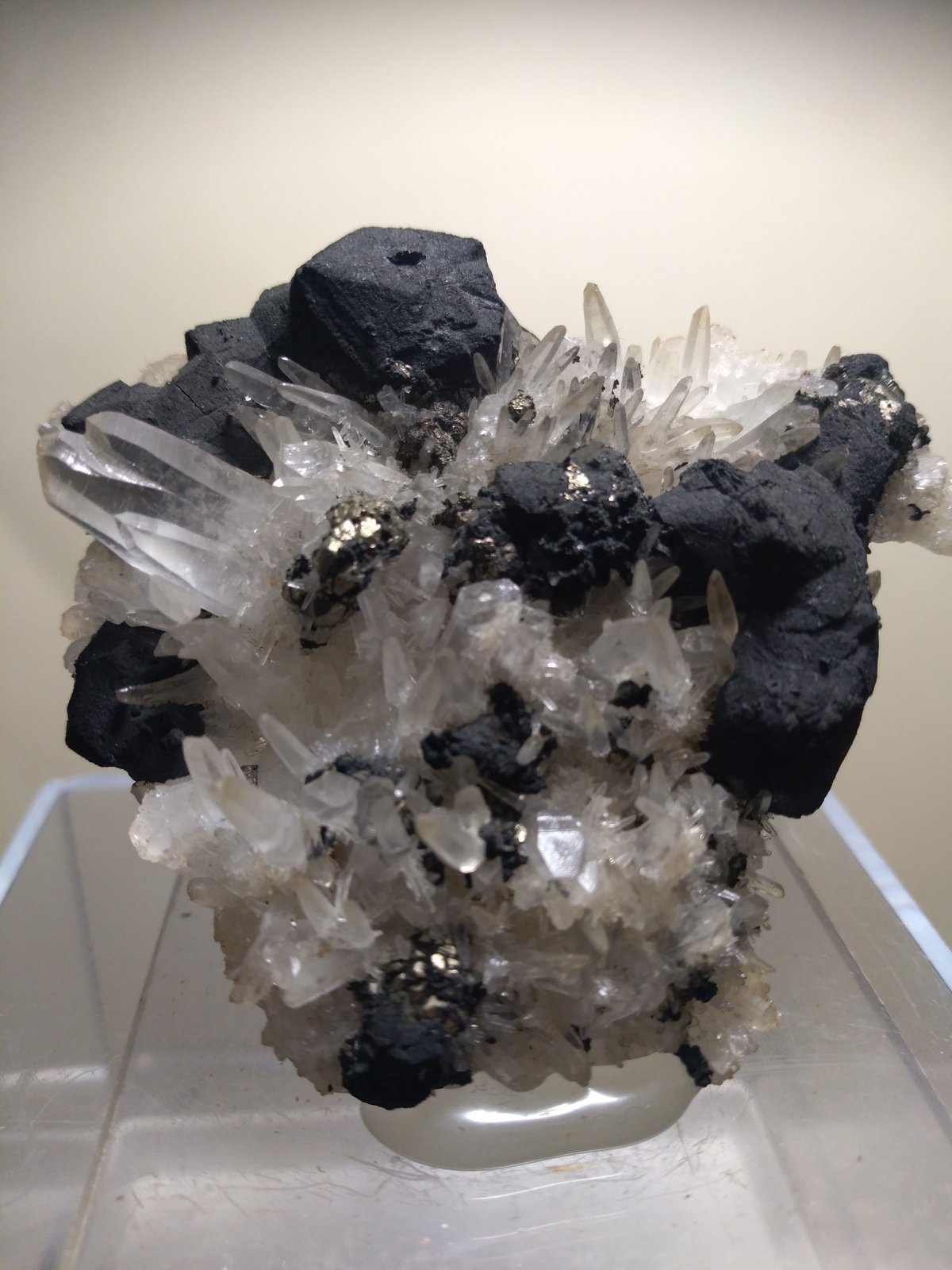 Bornite, Quartz
62 x 56 mm
(Autor: Sante Celiberti)