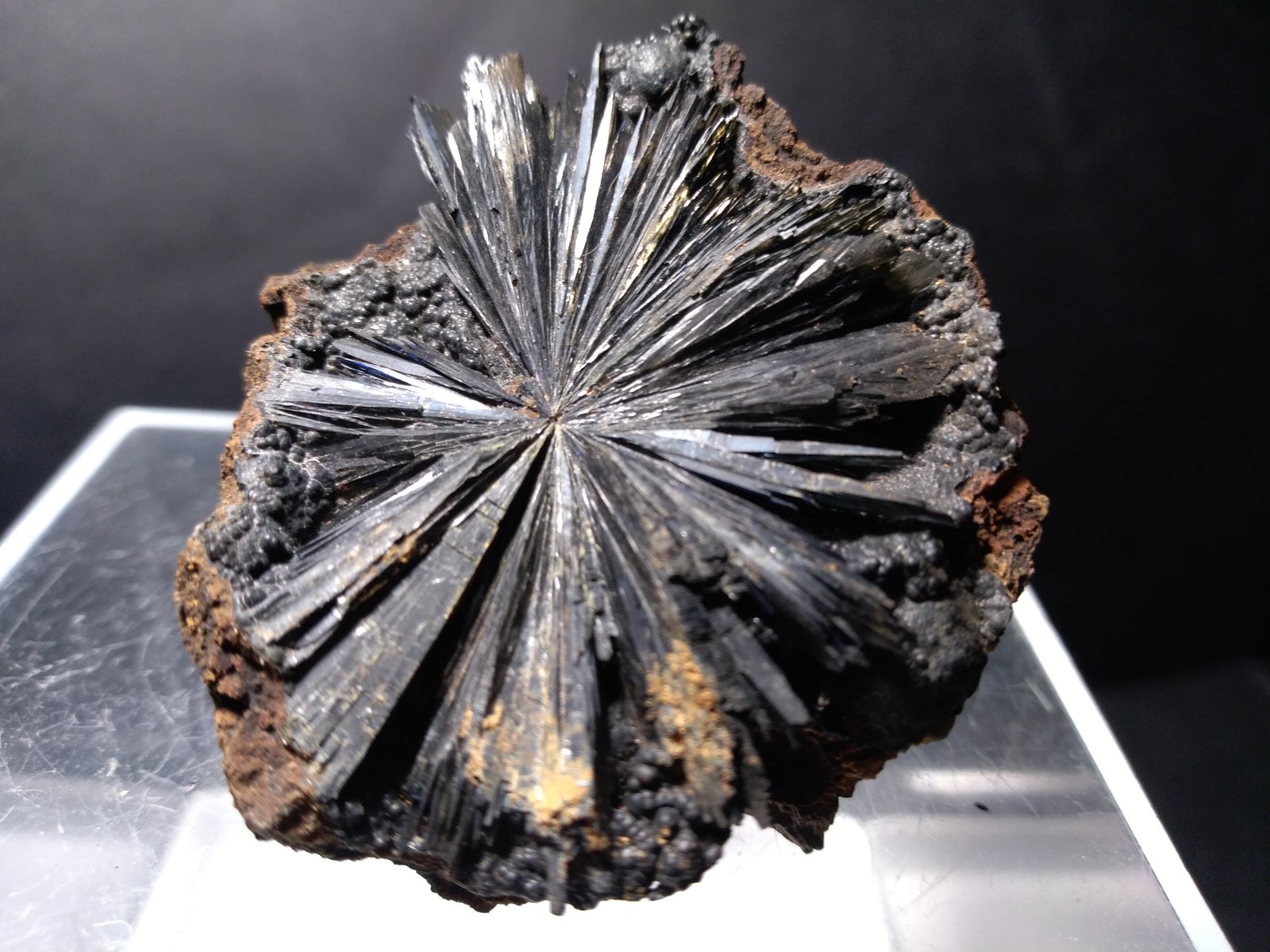 Vivianite
47 x 42 mm
(Autor: Sante Celiberti)
