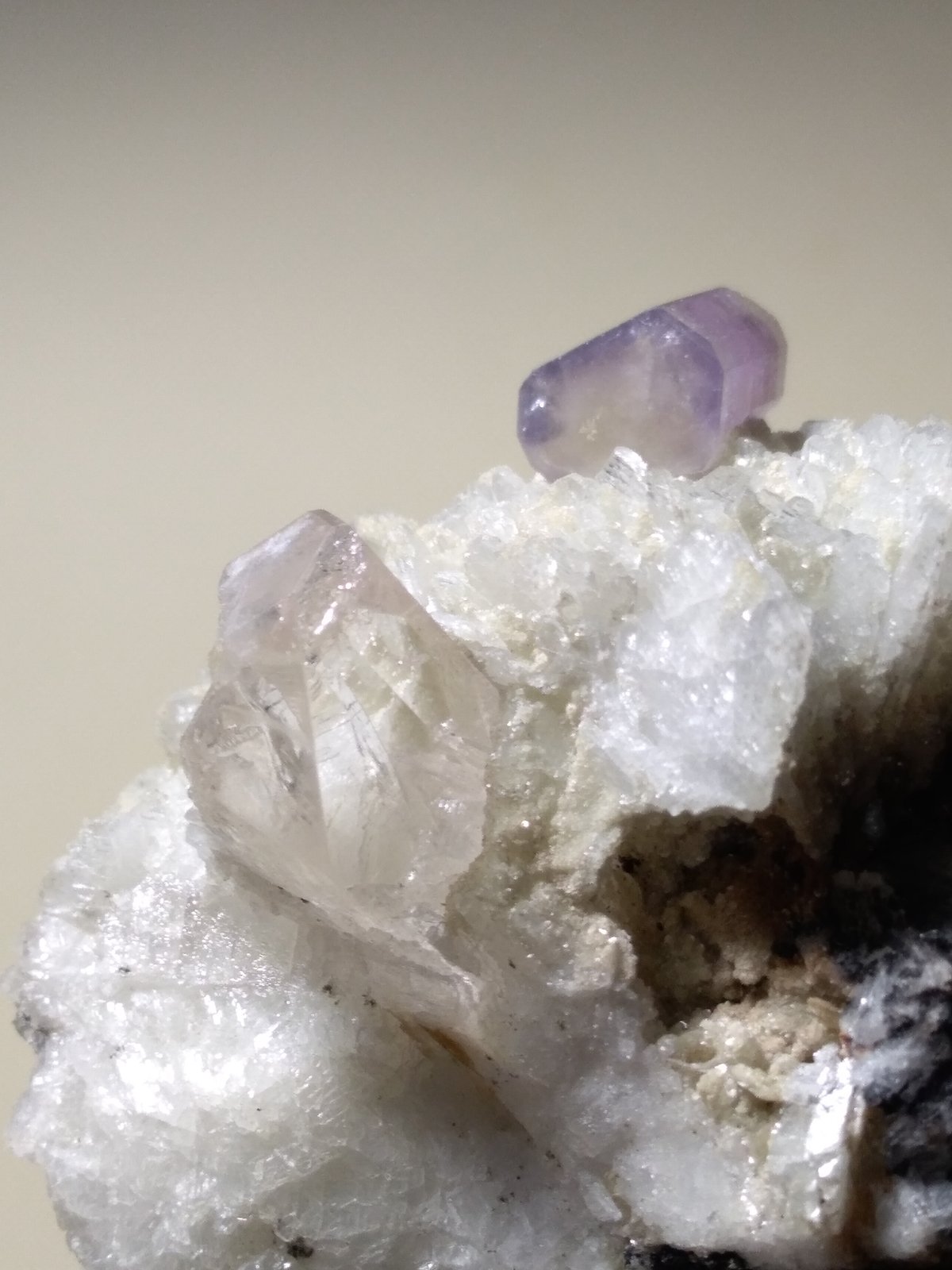 Fluorapatite, Topaz, Albite
59 x 56 mm
(Autor: Sante Celiberti)