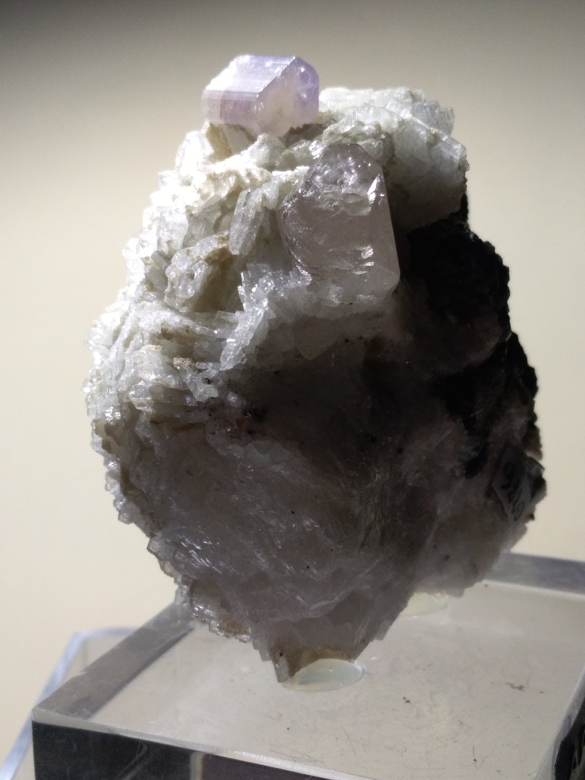 Fluorapatite, Topaz, Albite
59 x 56 mm
(Autor: Sante Celiberti)